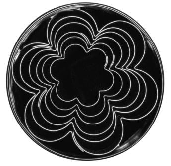 LOYAL Petal Cutter Plain