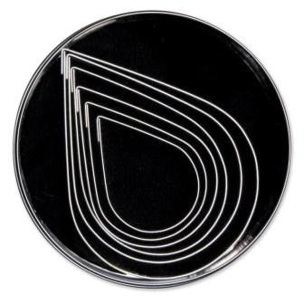 LOYAL Teardrop Cutter Plain