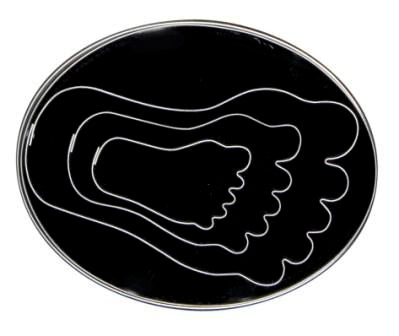 LOYAL Feet Cutter