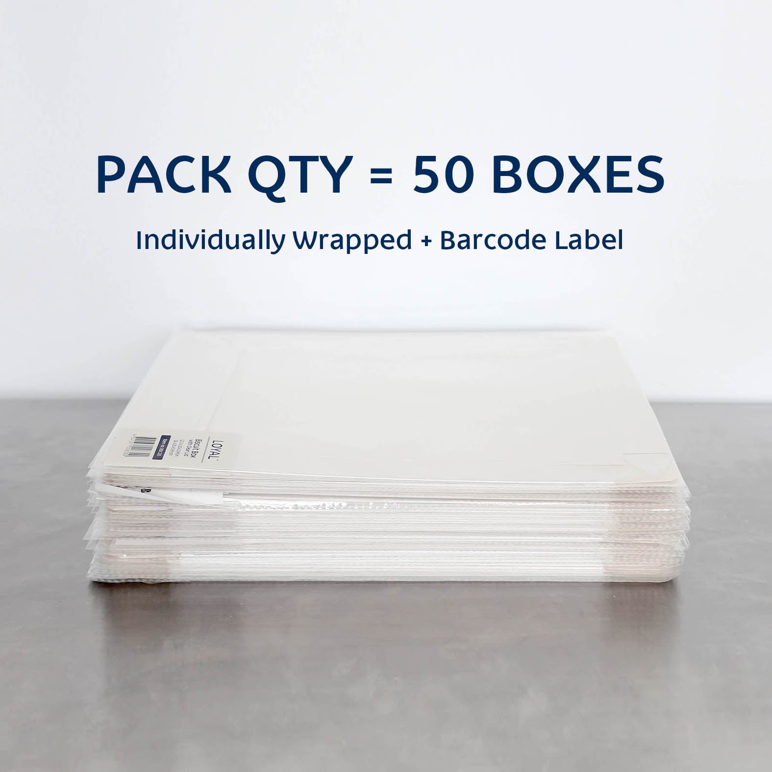 LOYAL Clear Lid Biscuit Box Rectangle 12.5x10x2(H)in