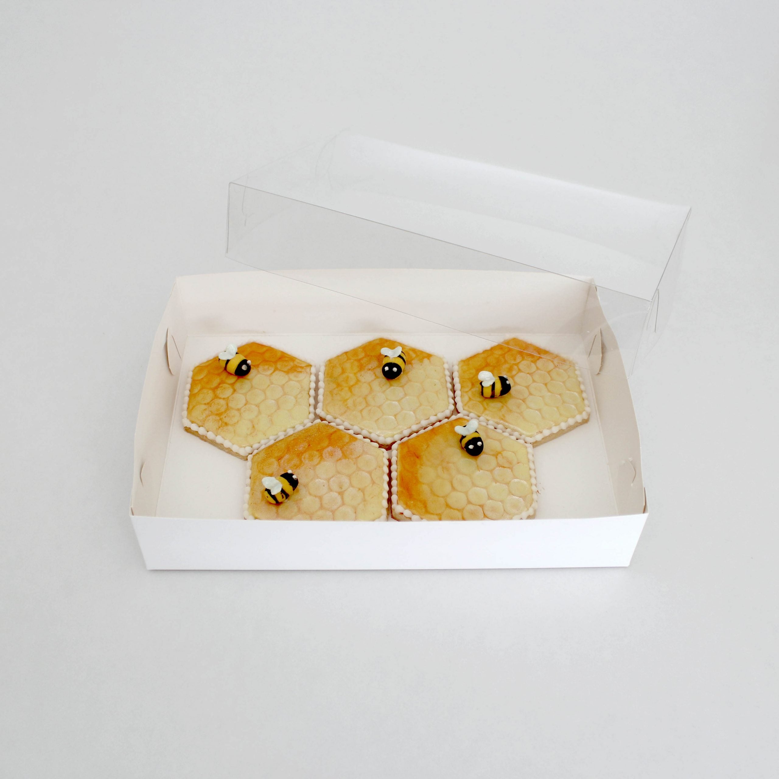 LOYAL Clear Lid Biscuit Box Rectangle 10x7x2(H)in