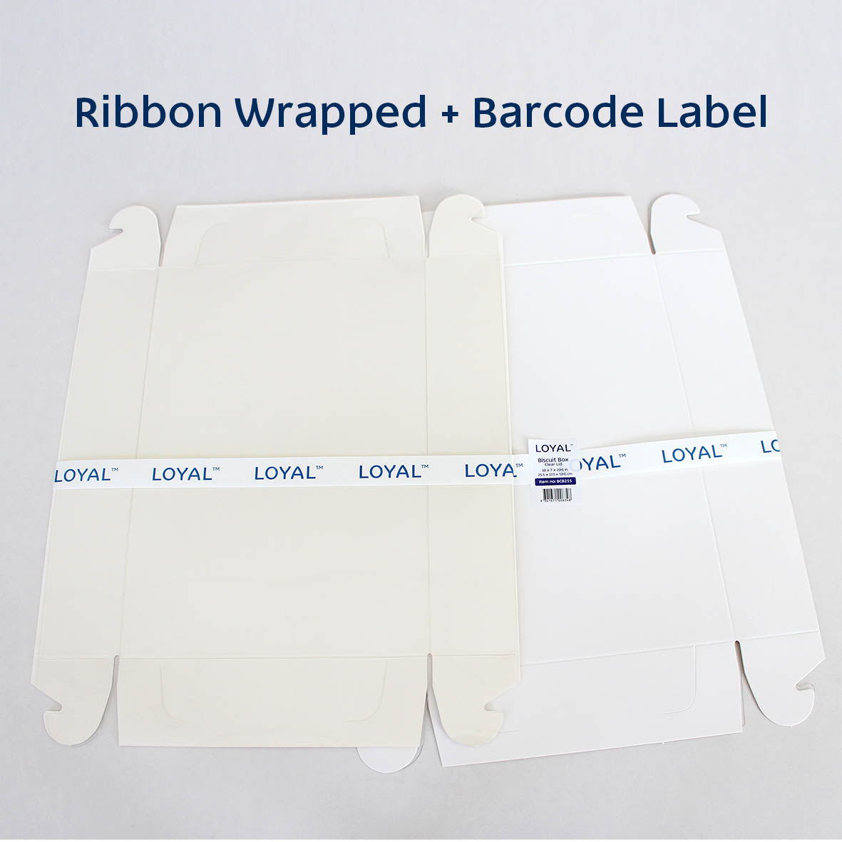 LOYAL Clear Lid Biscuit Box Rectangle 10x7x2(H)in