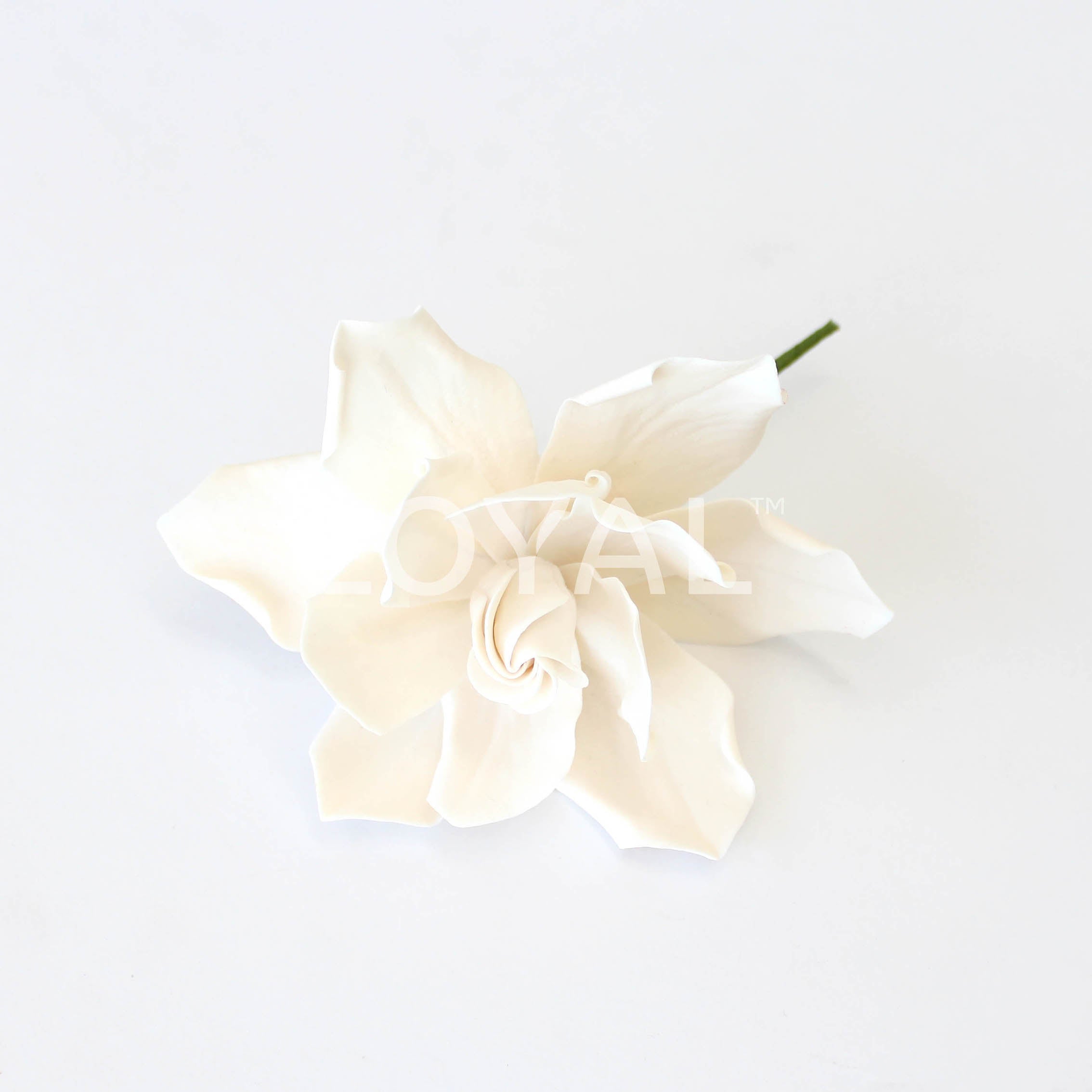 LOYAL Gardenia Petal Cutter