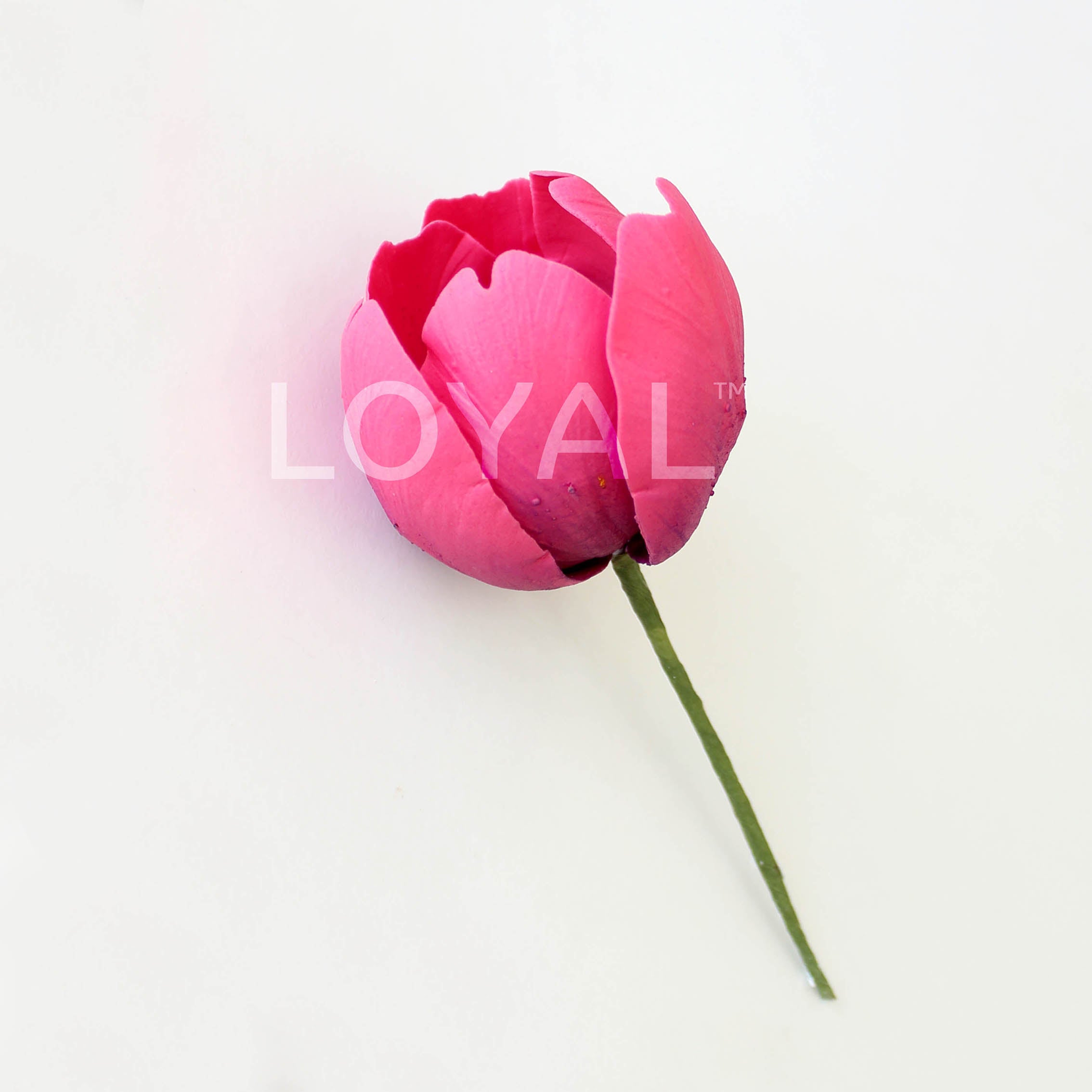 LOYAL Tulip Petal Cutter Standard