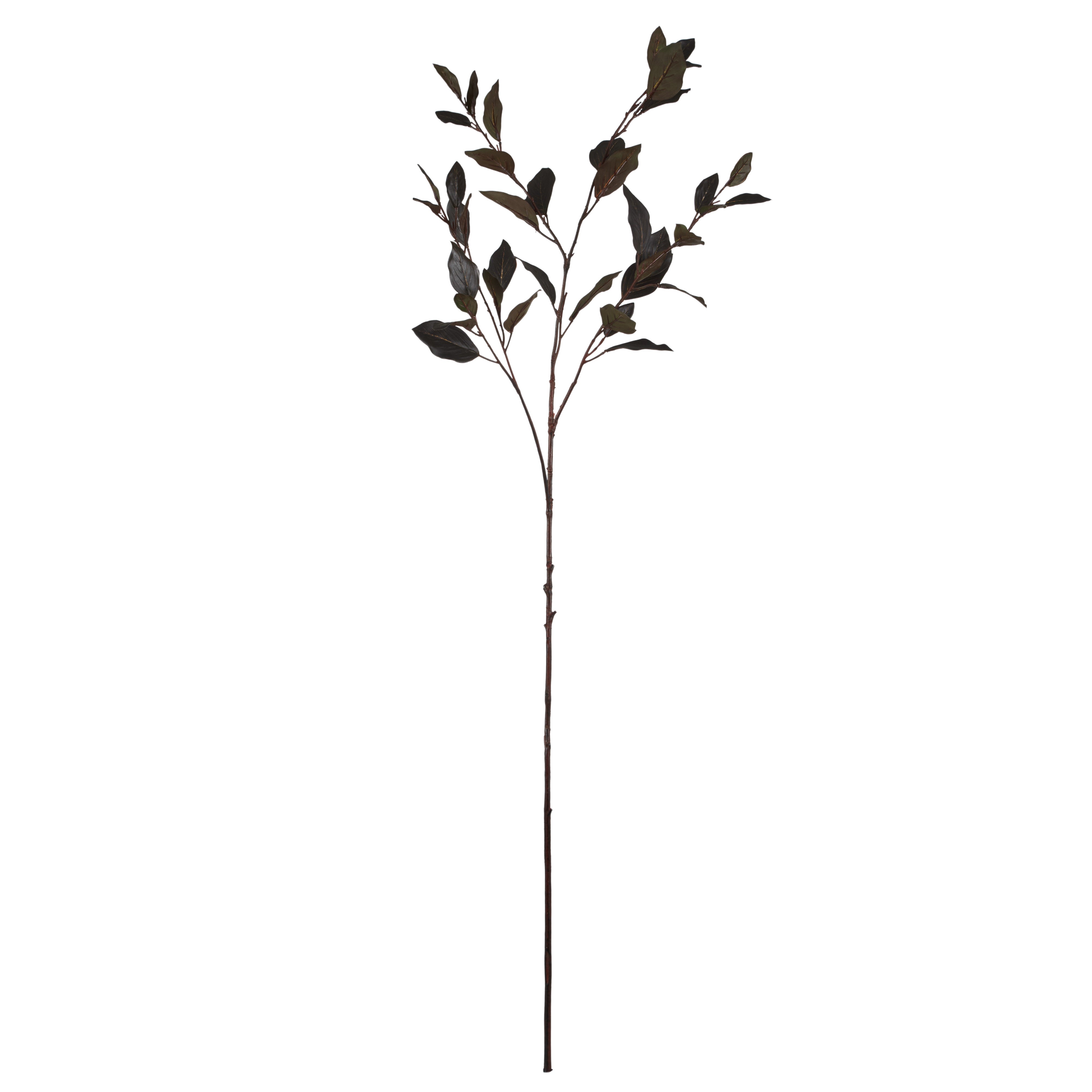Rogue Eucalyptus Spray Green 50cm