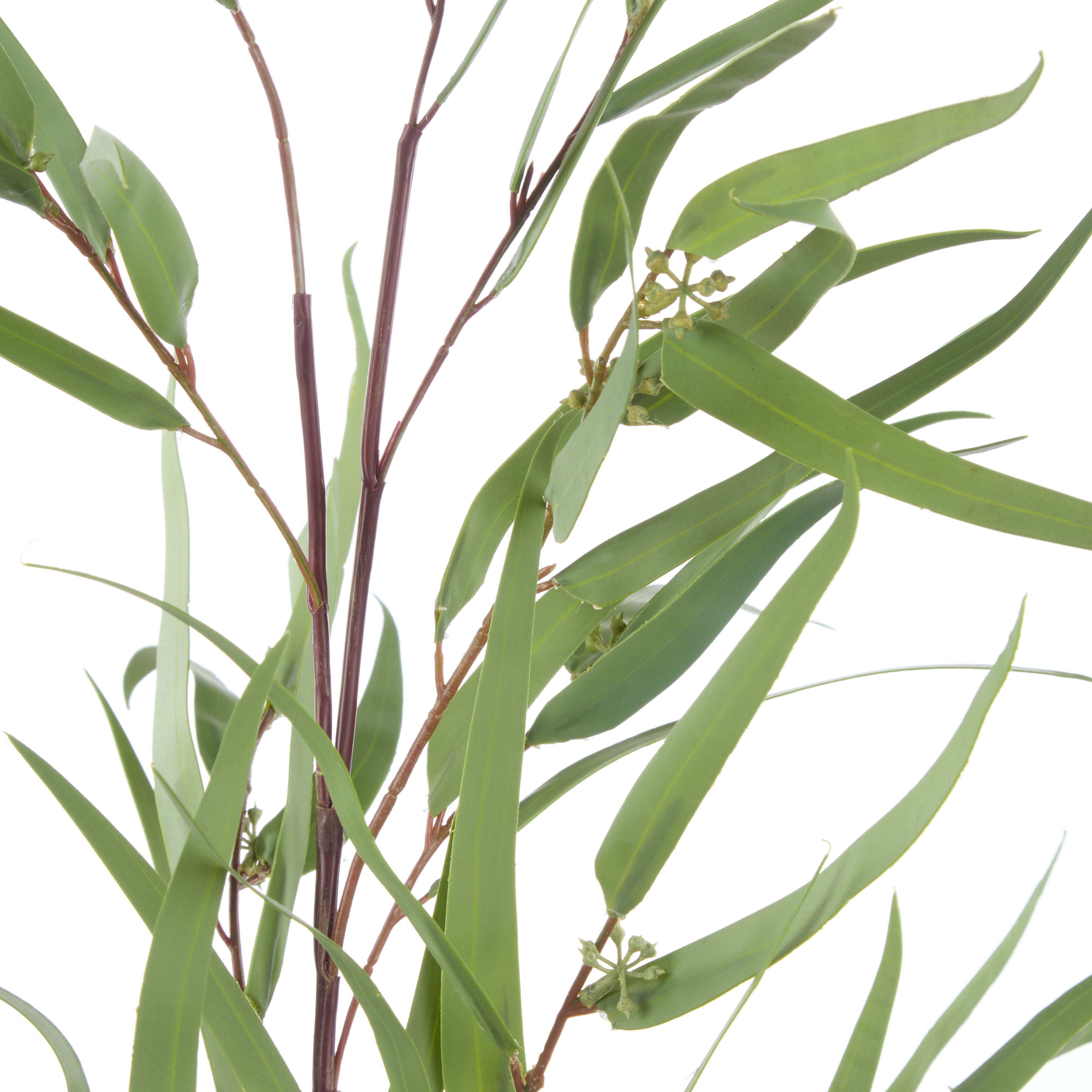 Rogue Eucalyptus Spray Green 13cm