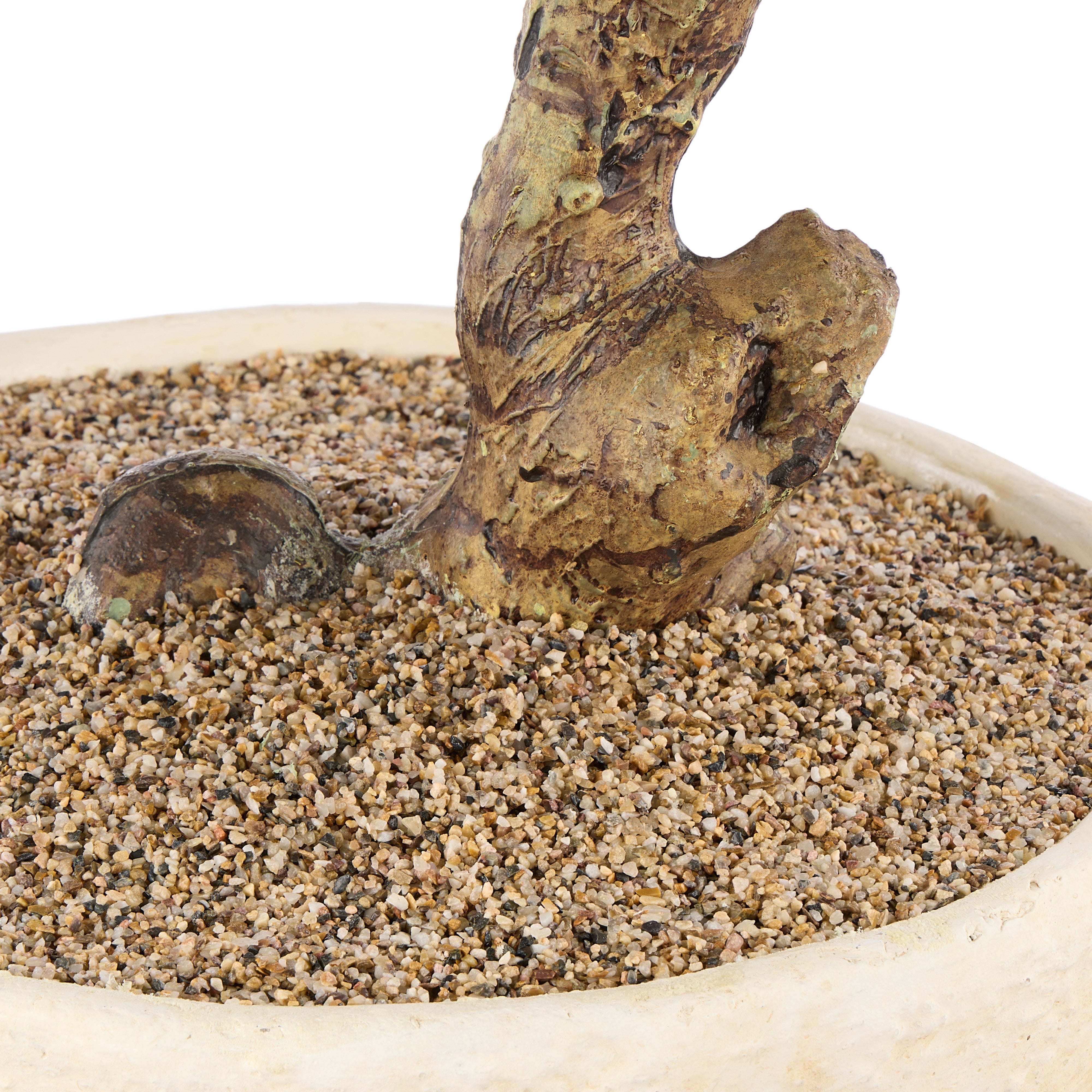 Rogue Pine Bonsai Large Textured Cement Pot Green