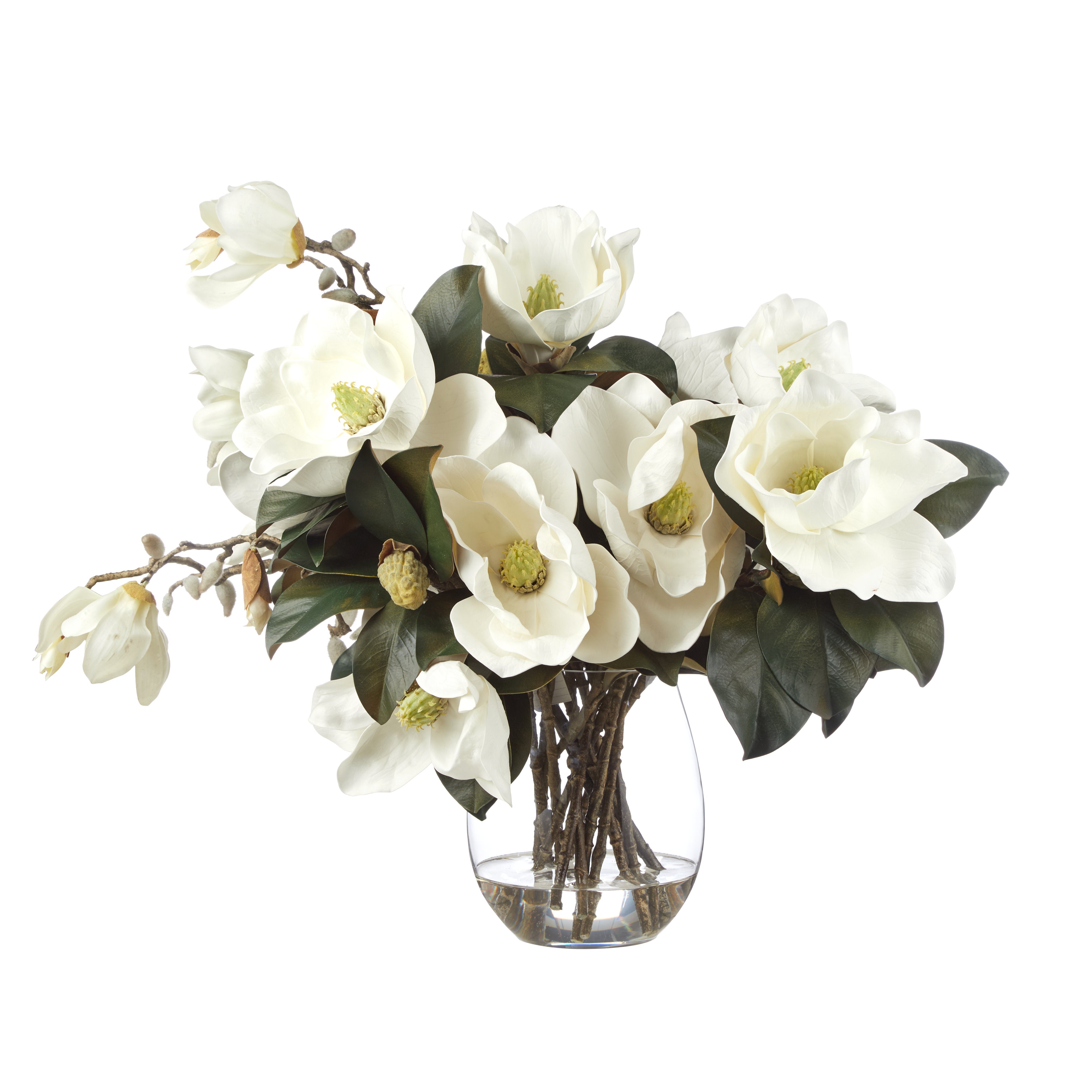 Rogue Magnolia Grandiflora - Claire Vase