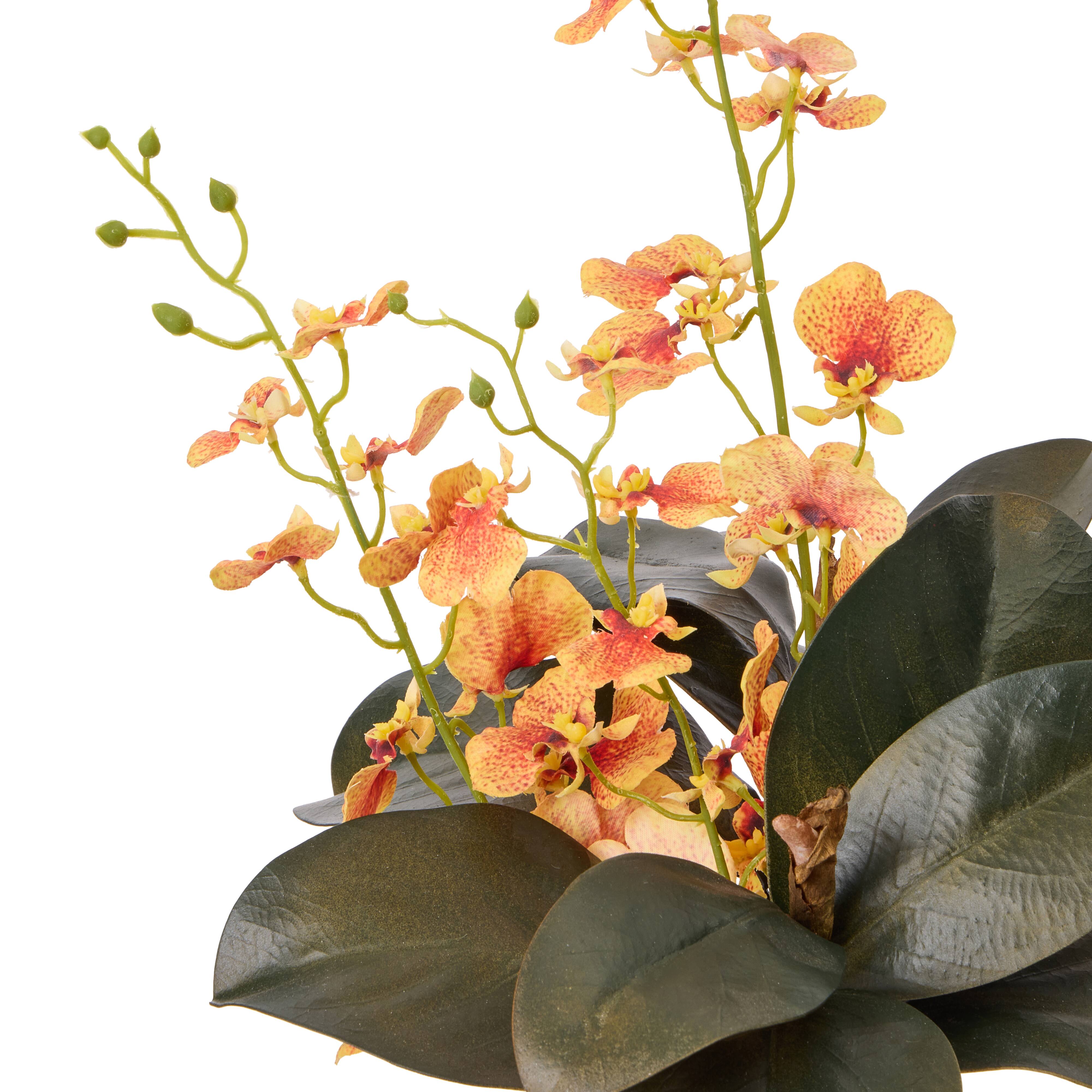 Rogue Dancing Orchid Foliage Mix - Douglas Vase Orange & Green