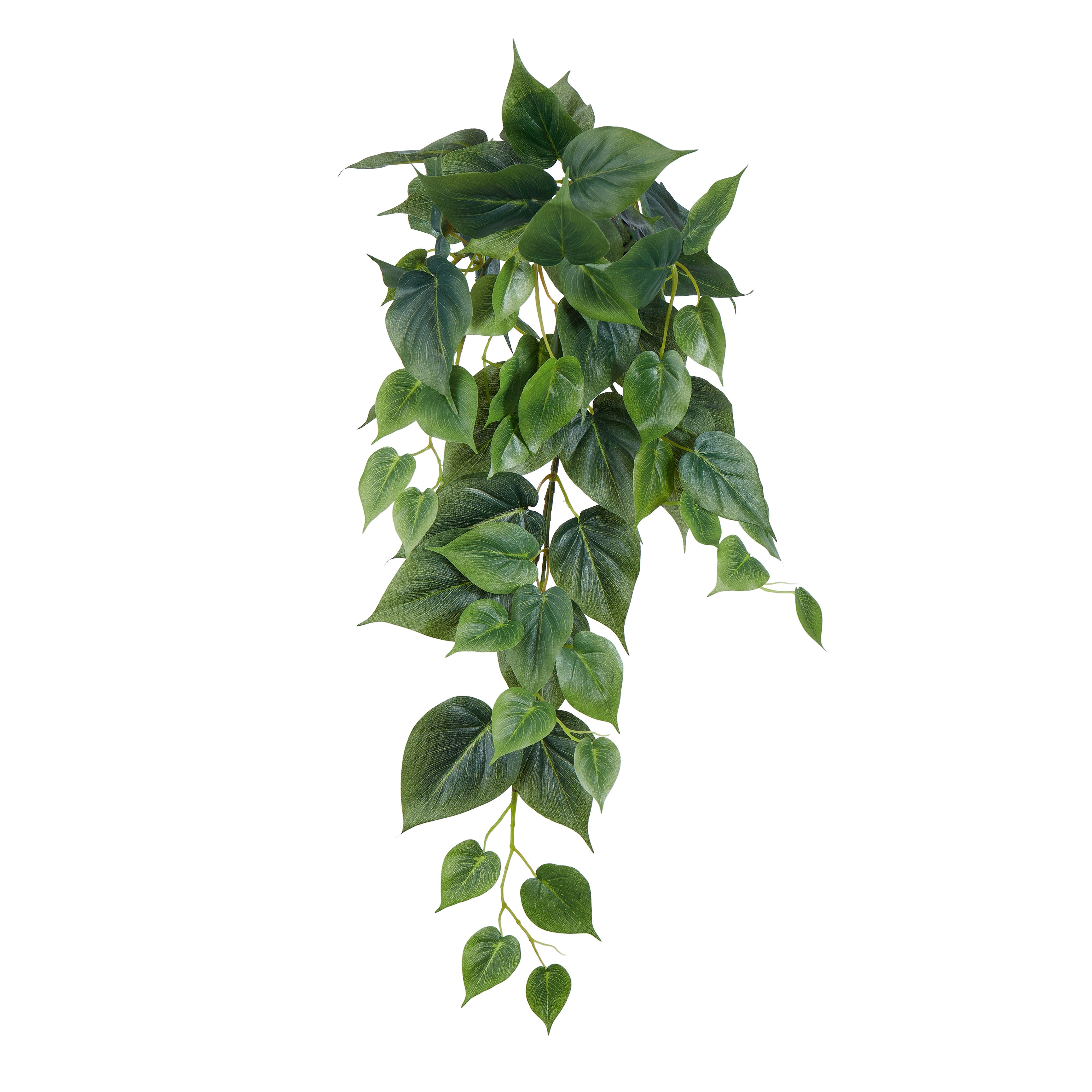 Rogue Philodendron Hanging Bush