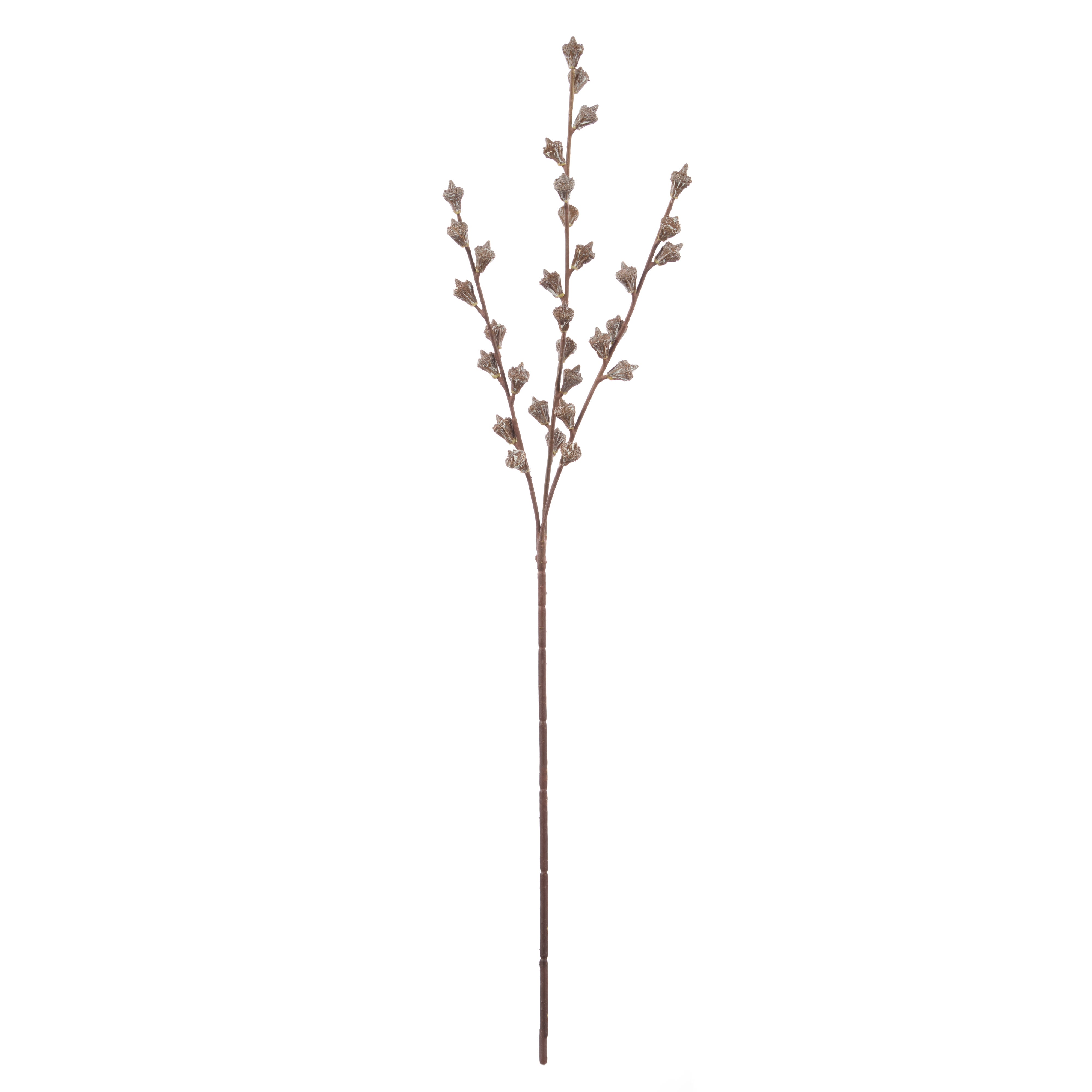 Rogue Eucalyptus Gumnut Spray Brown