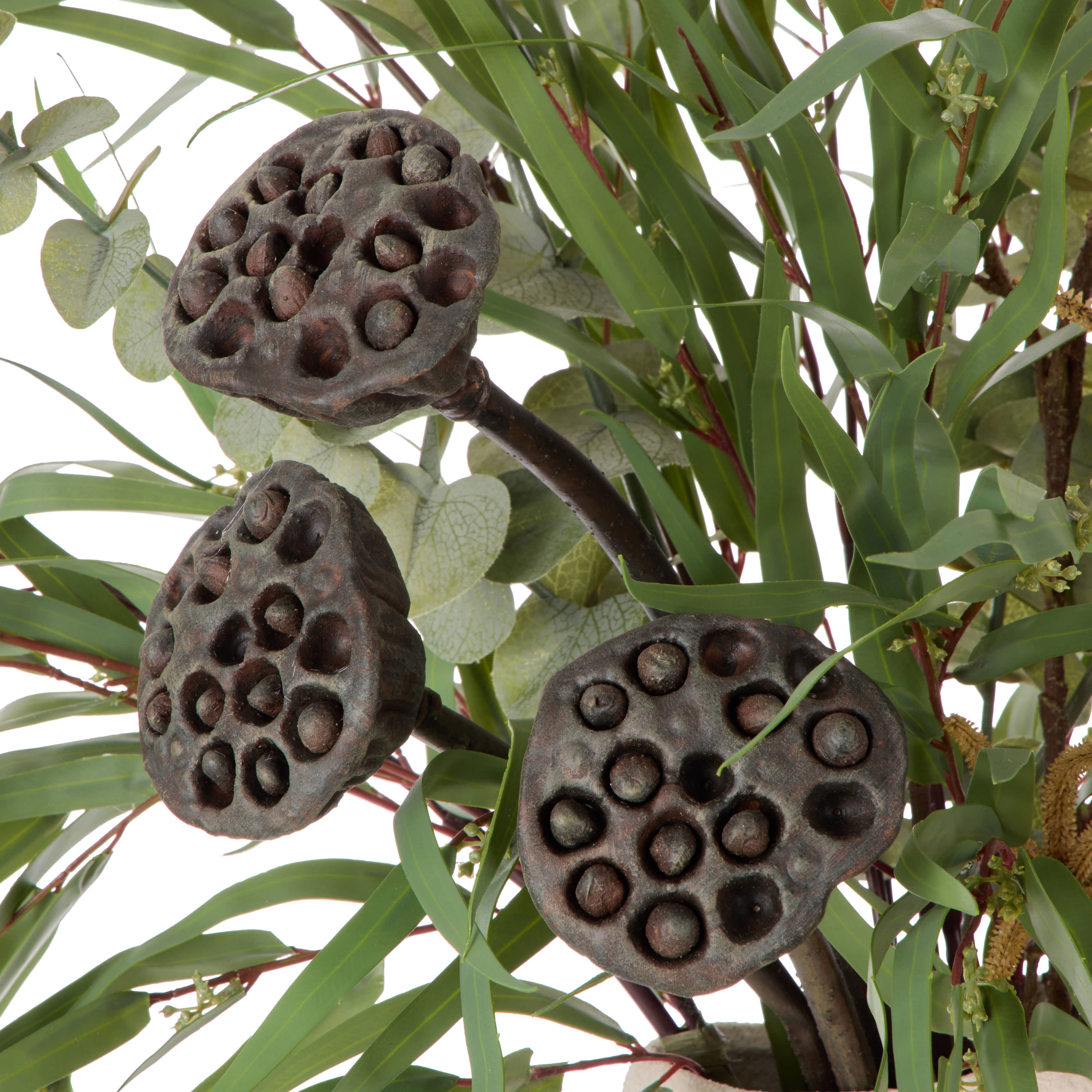 Rogue Lotus Pod Catkins Mix-Ryde Brown 96cm