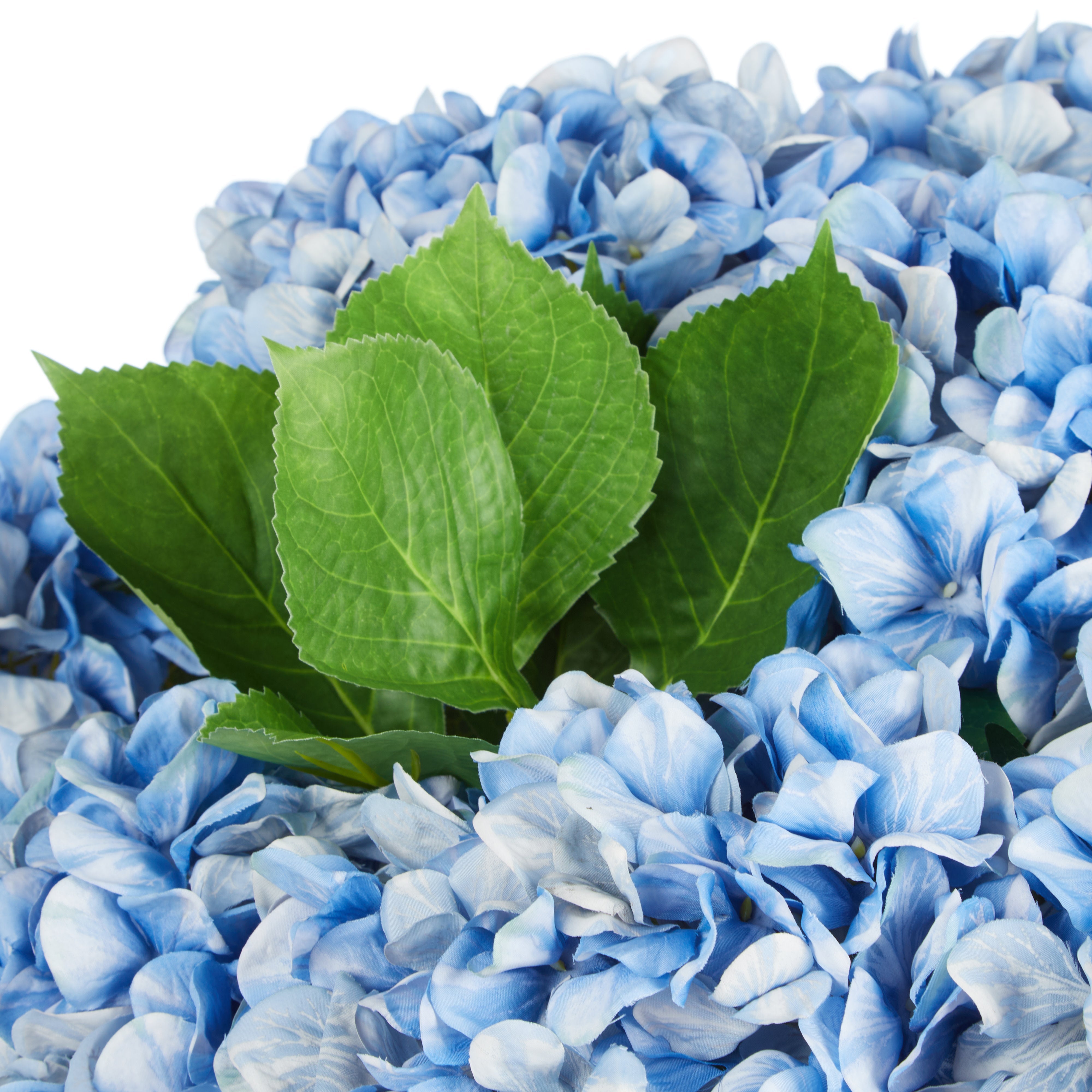 Rogue Garden Hydrangea Mix - Dahlia Bowl Blue & Glass
