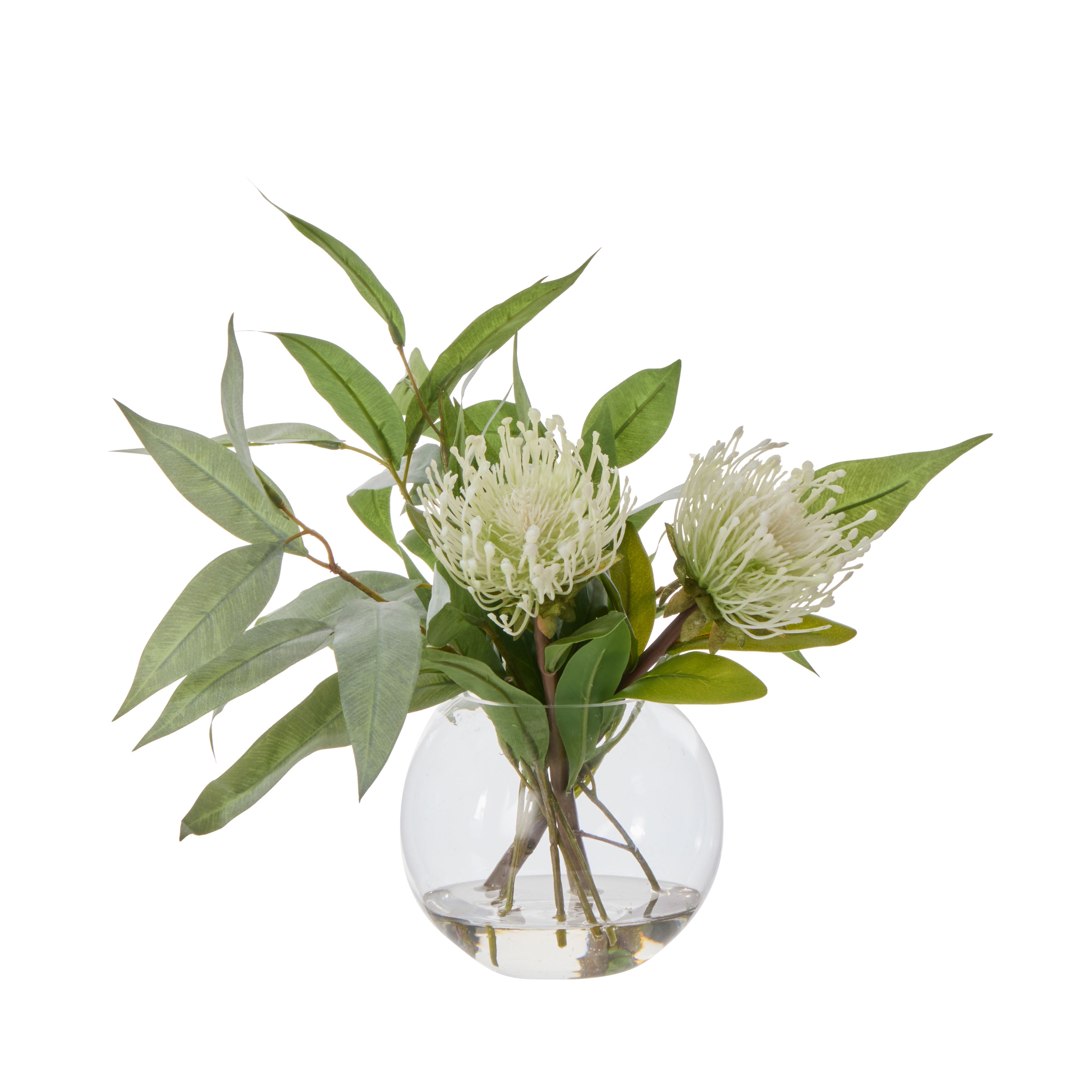 Rogue Pincushion Eucalyptus - Sphere Cream & Green