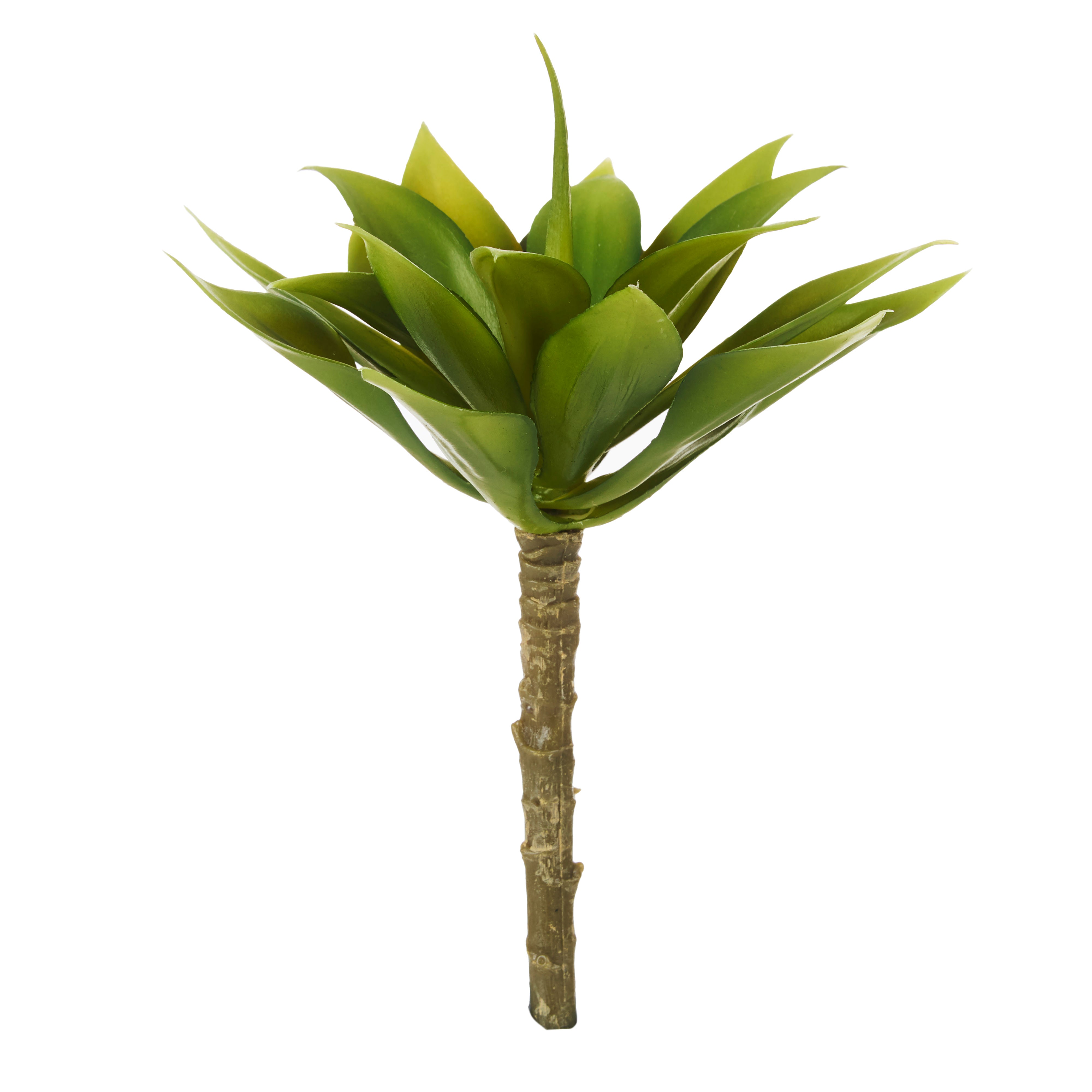 Rogue Mini Agave