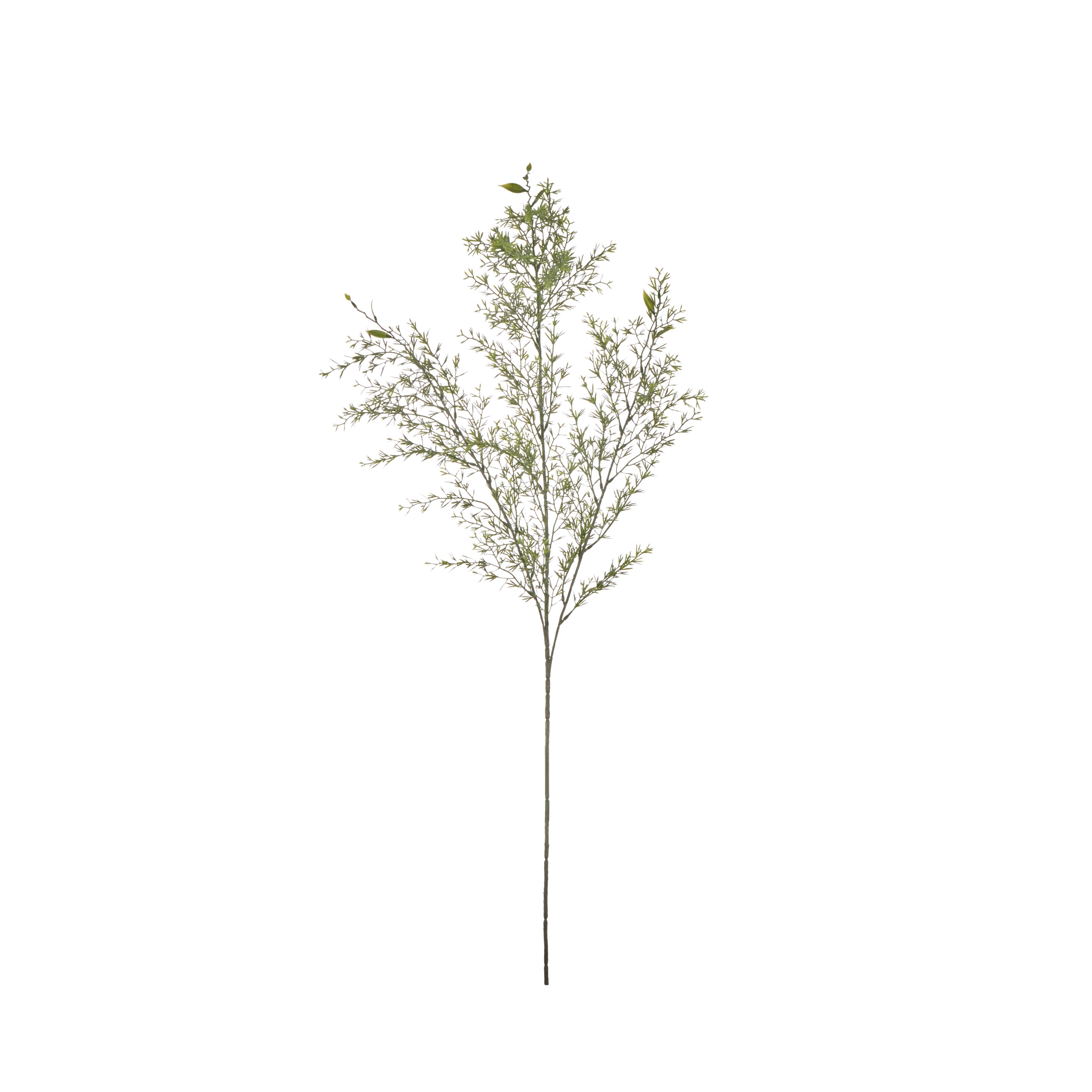 Rogue Tea Leaf Spray Green