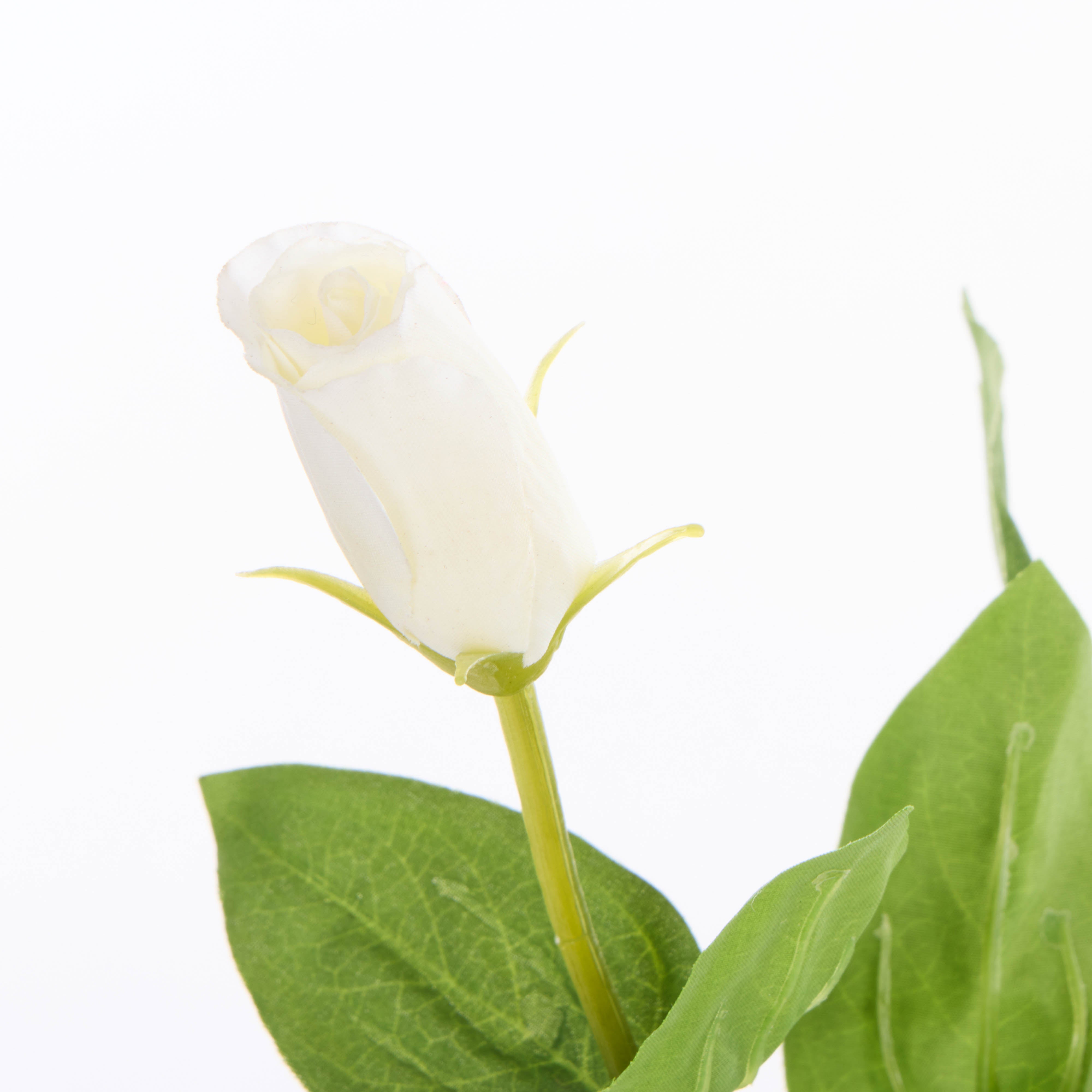 Rogue Lisianthus - Specimen Glass Vase White