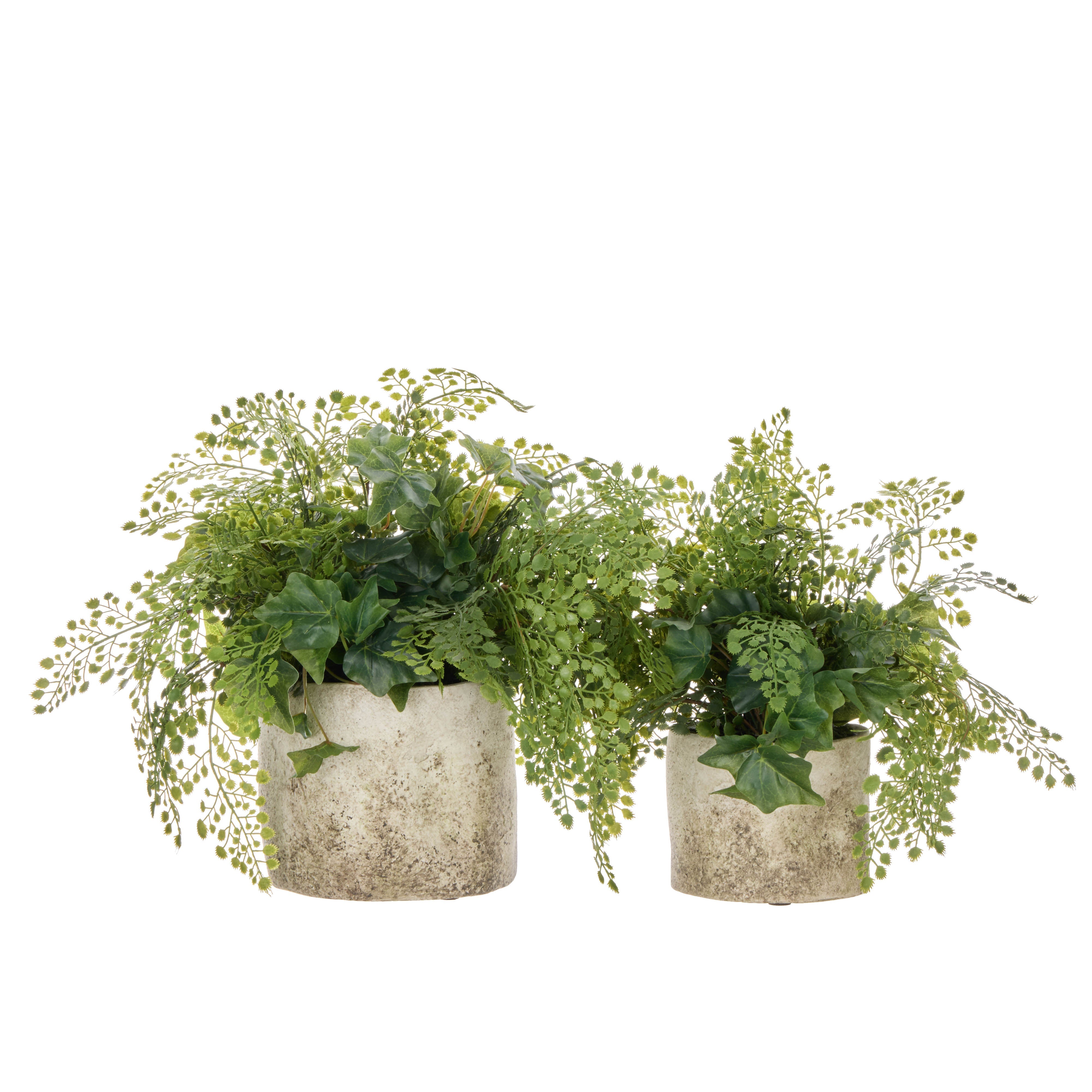 Rogue Maiden Ivy - Edith 30cm