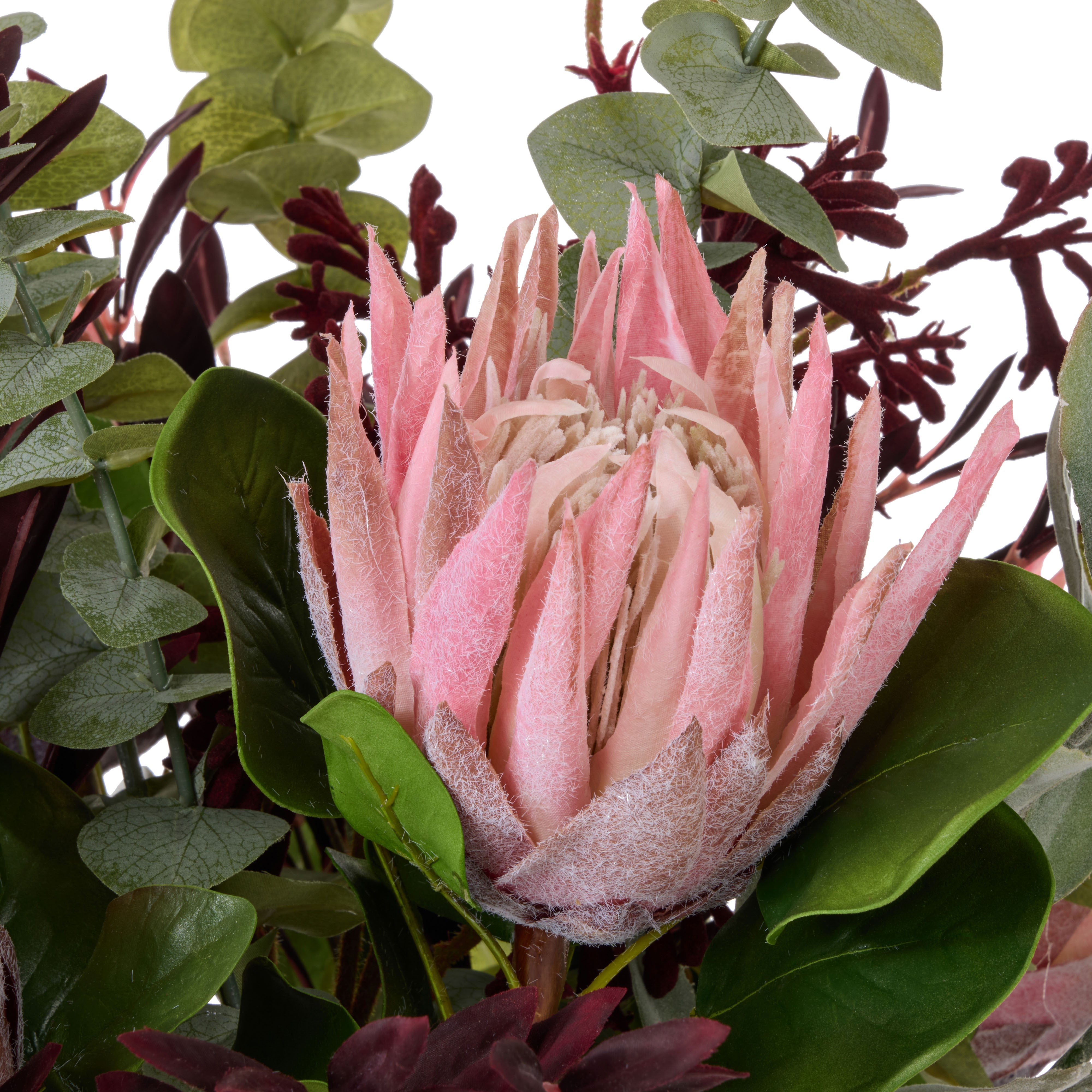 Rogue Protea Kangaroo Paw - Maliah Pink & Burgundy 75cm