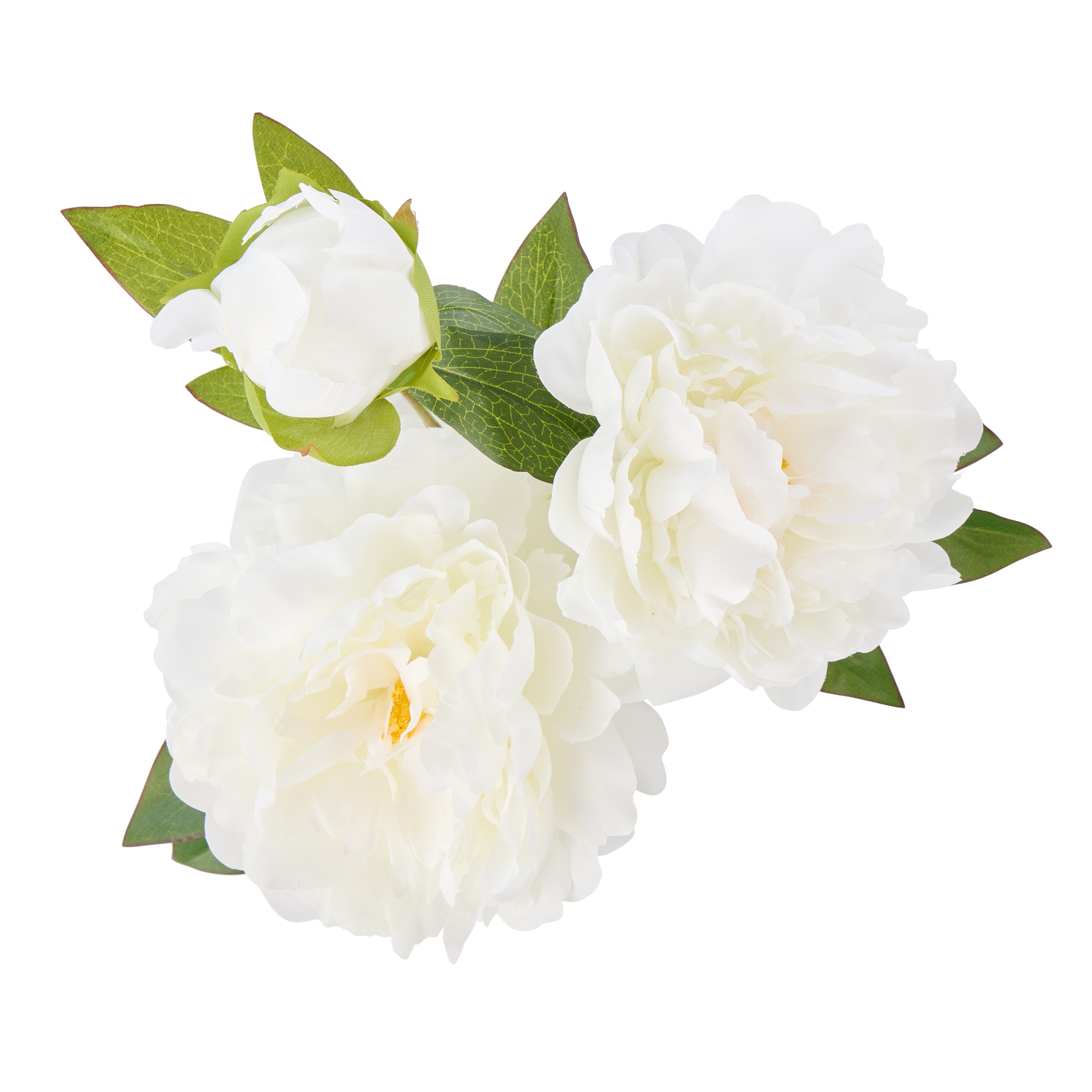 Rogue Peony Stem - Pauline Vase