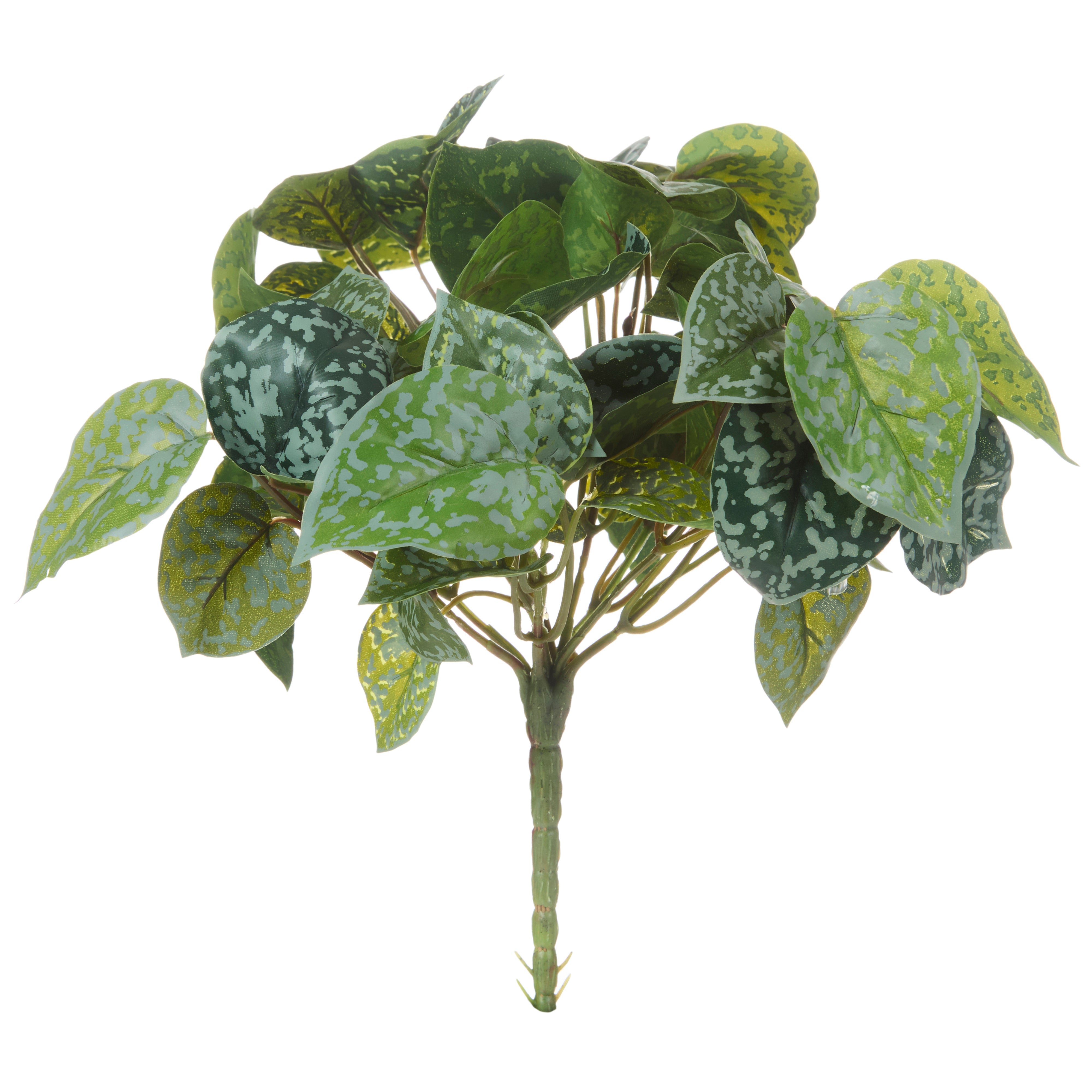 Rogue Aluminium Bush