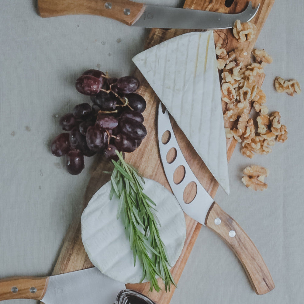 Artesà Stainless Steel Cheese Knife Set