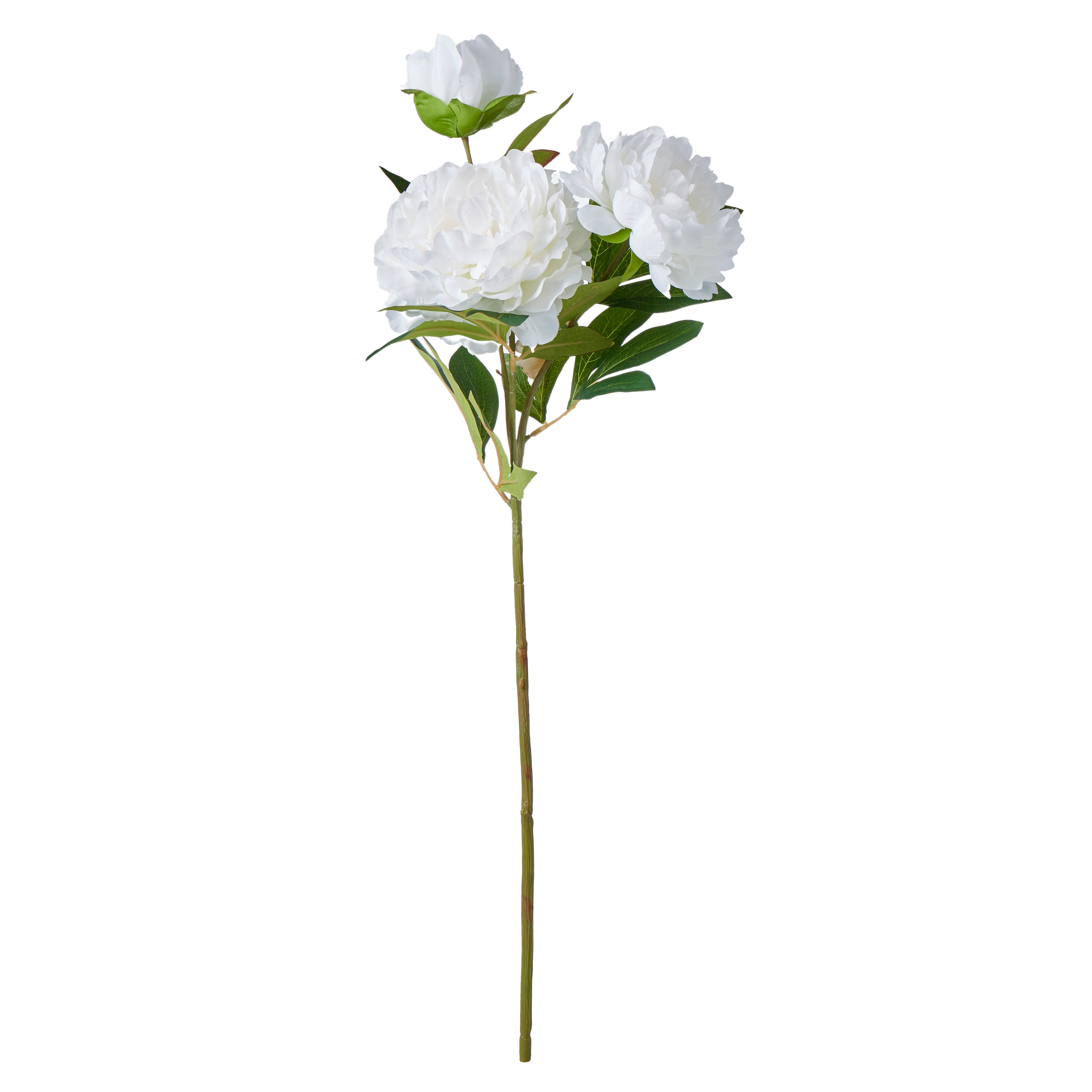 Rogue Peony Stem White 76cm