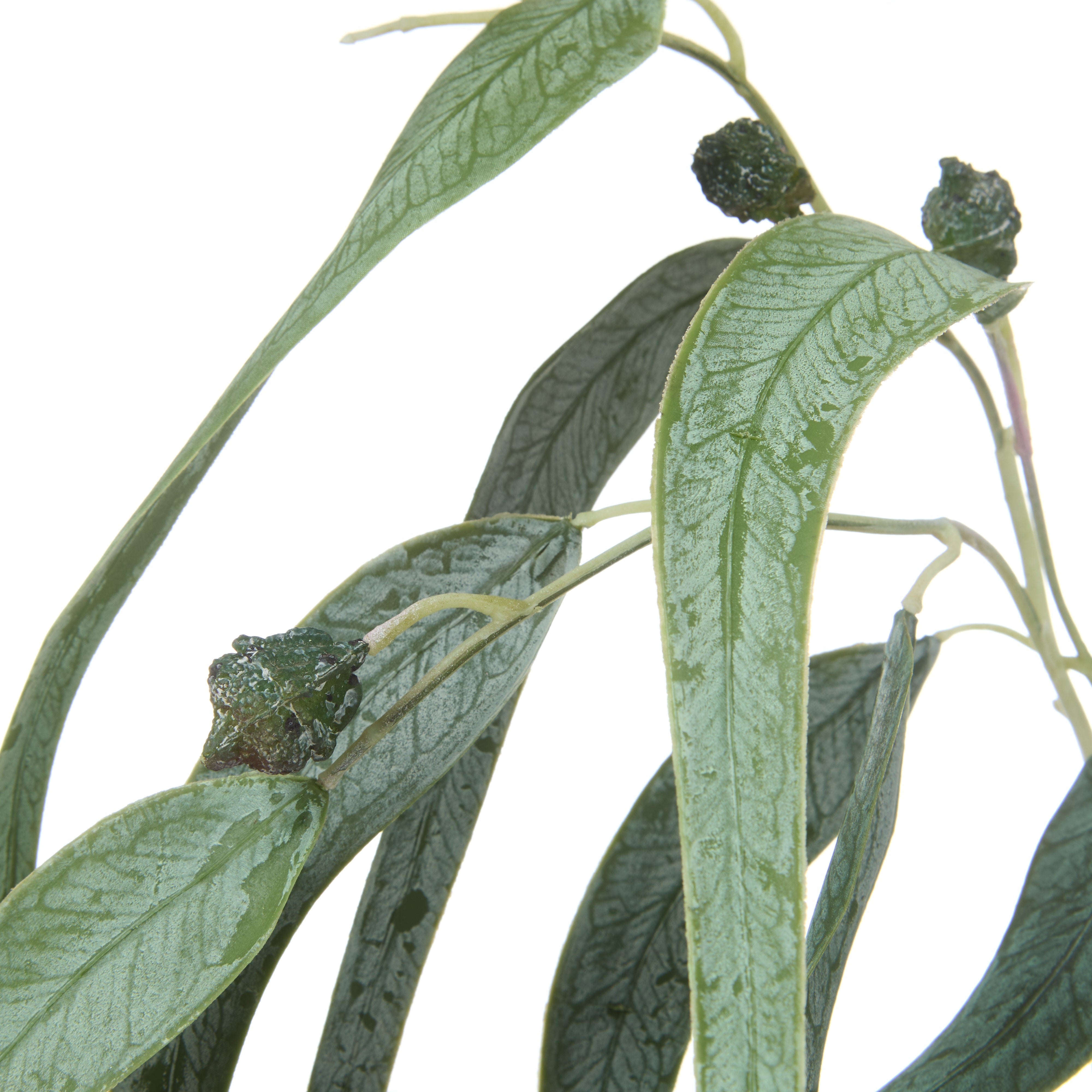 Rogue Eucalyptus Gumnut Spray 87cm