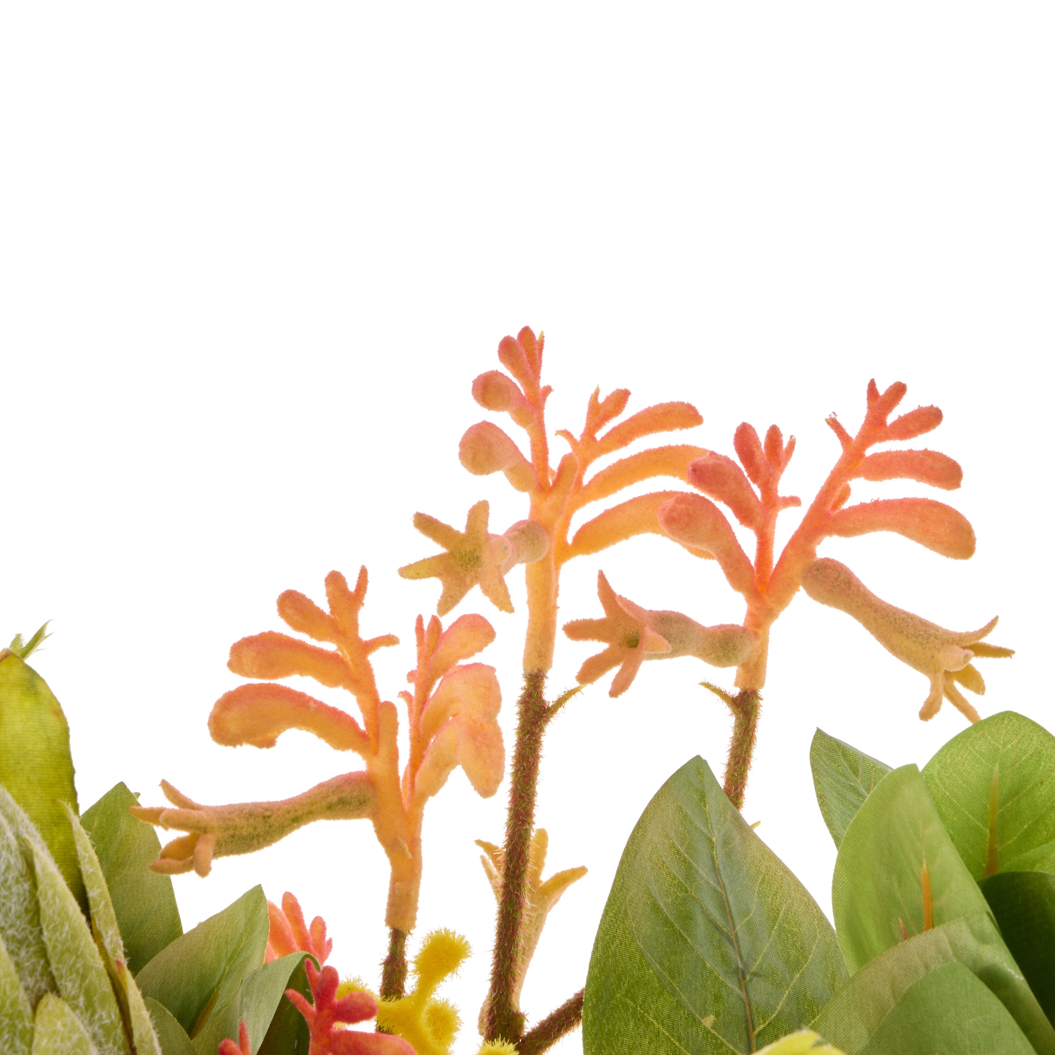 Rogue Wattle Native Mix - Pail Yellow & Green