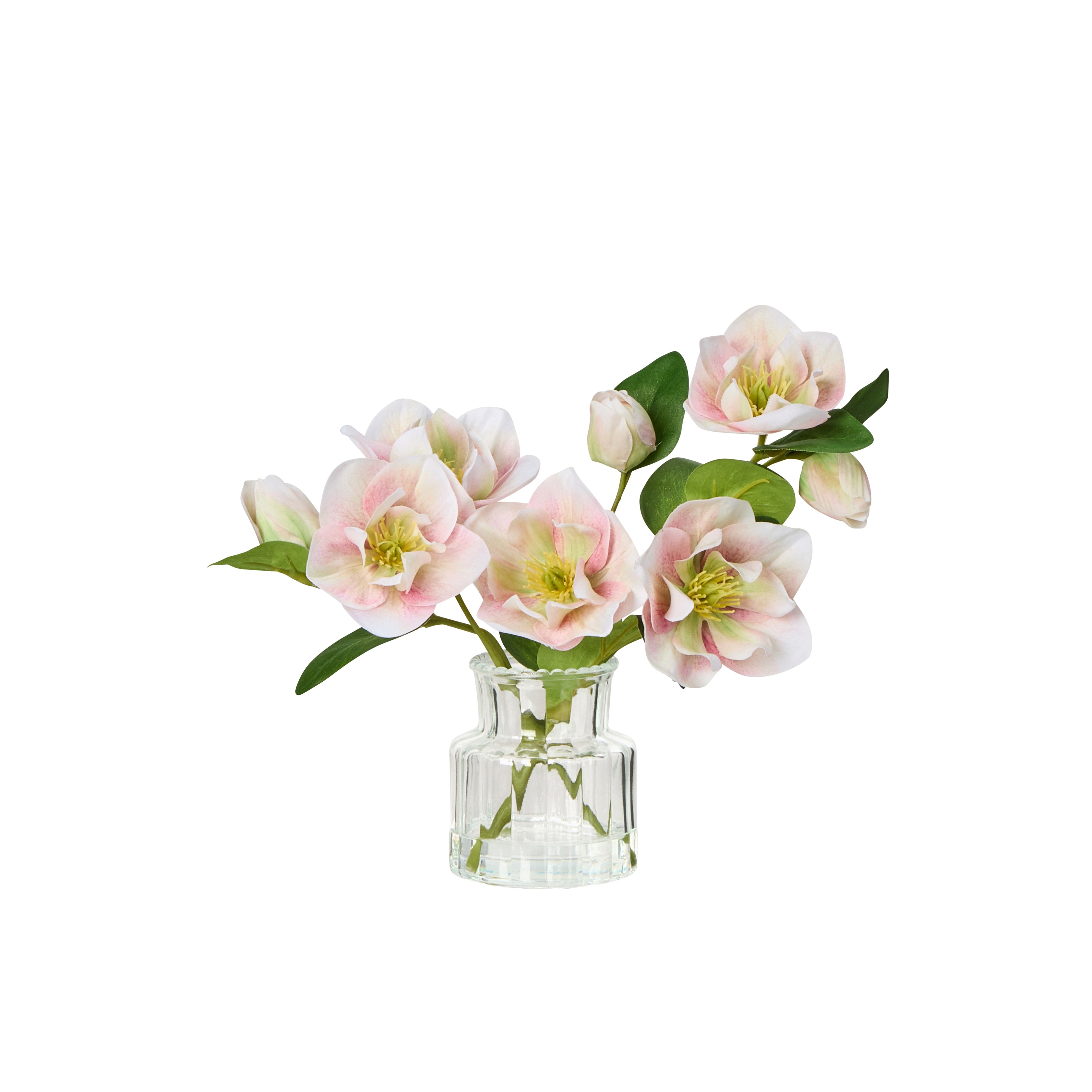 Rogue Helleborus - Glass Vase Pink 41 x 23cm