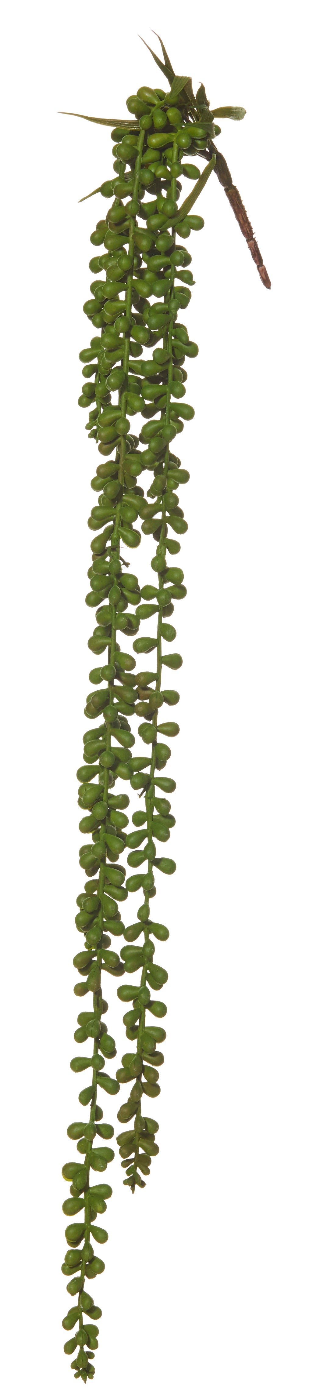 Rogue Hanging Pearls 69cm