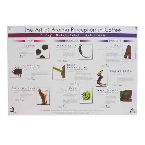 SCAA Art of Aroma Dry Distillation Poster