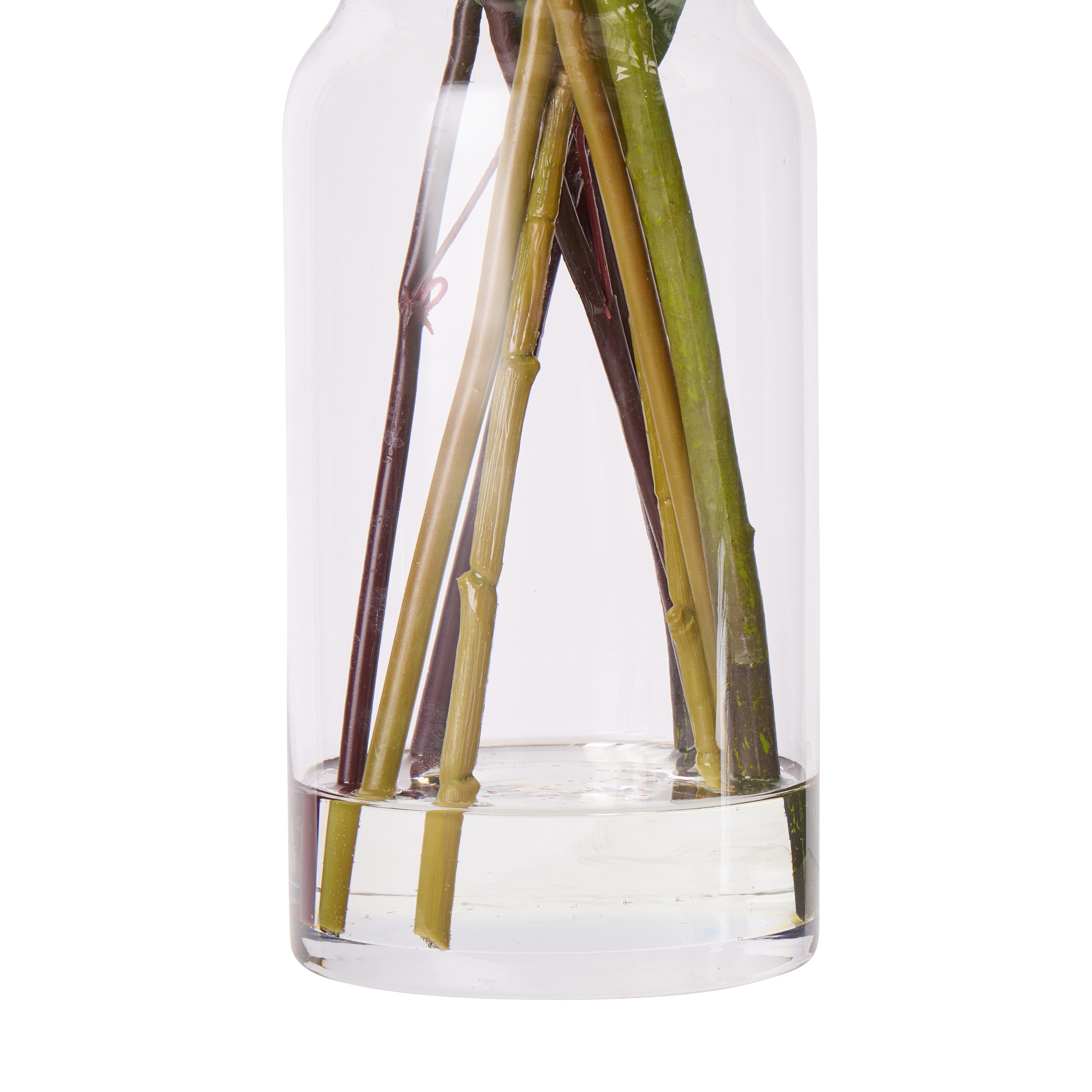 Rogue Native Banksia Mix - Rachel Vase