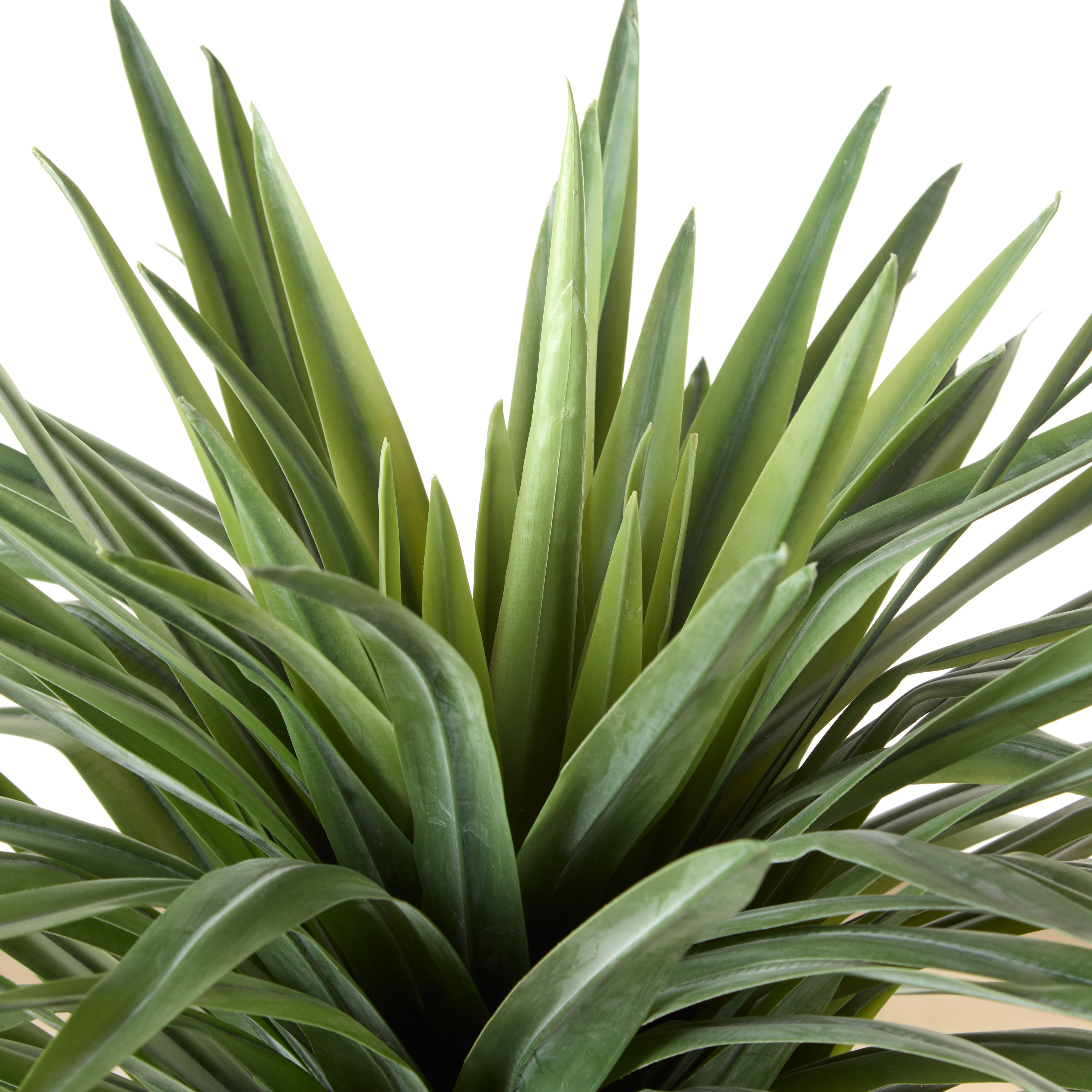 Rogue Sisal Plant UV 48cm