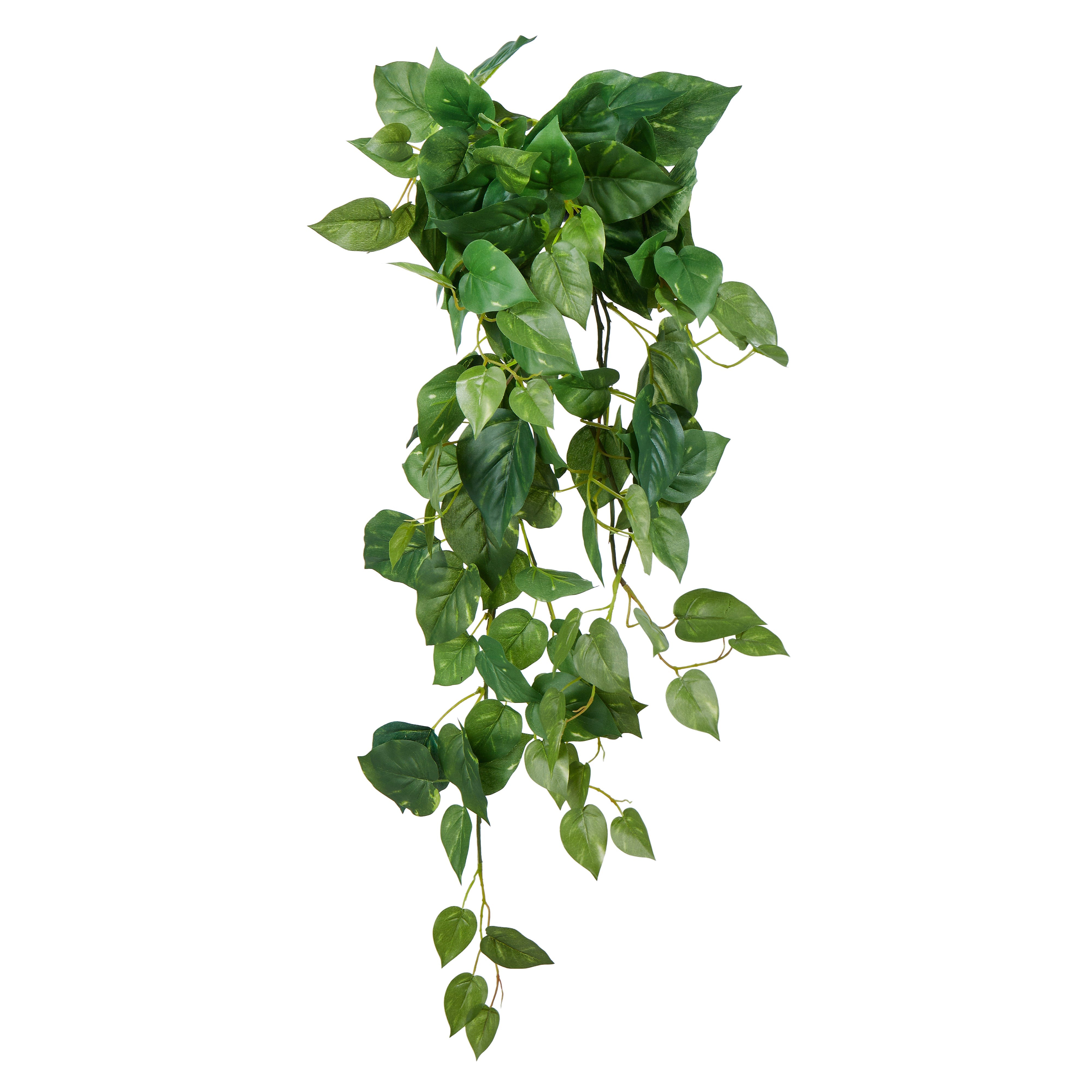 Rogue Pothos Hanging Bush Variegated 89cm