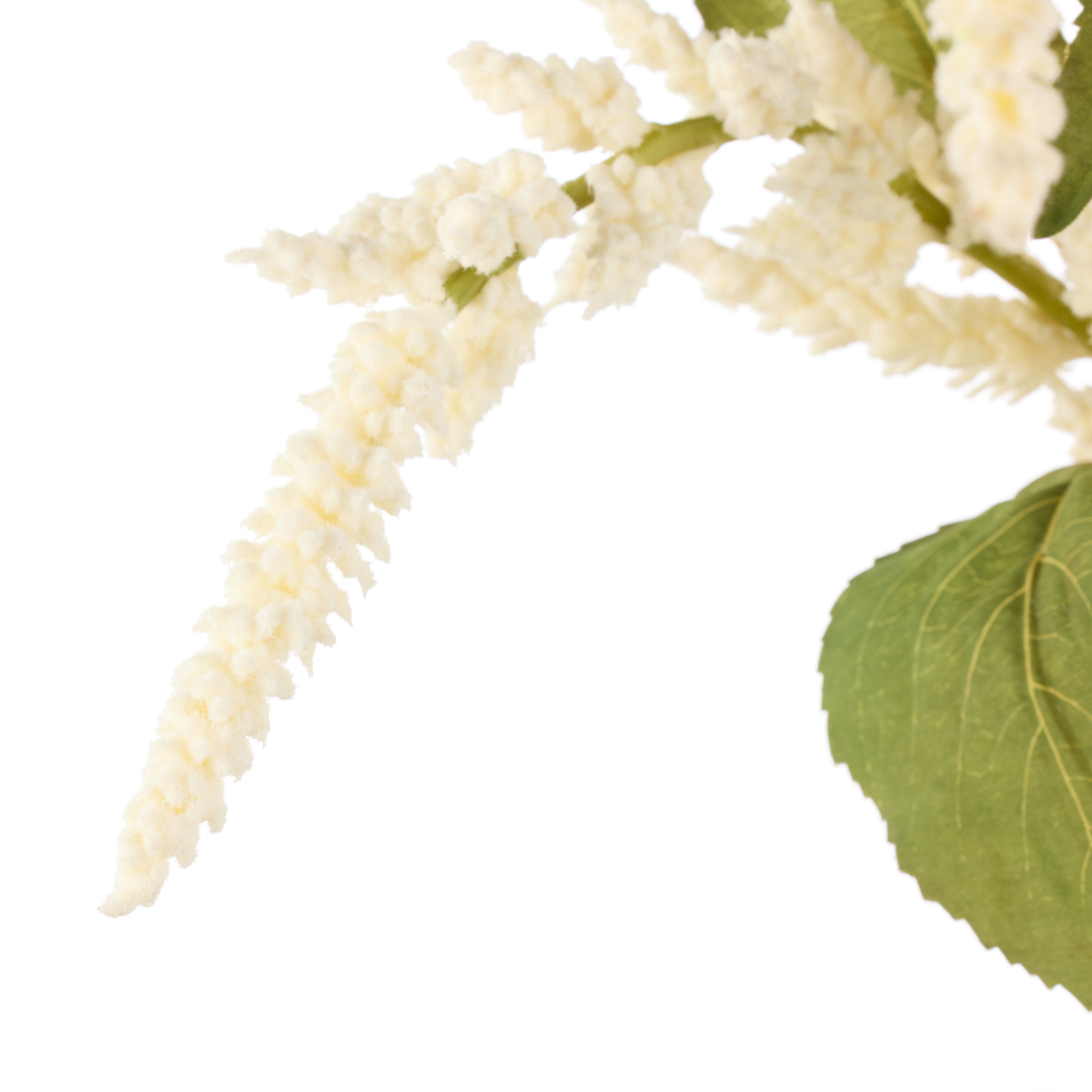 Rogue Amaranthus Hanging Spray