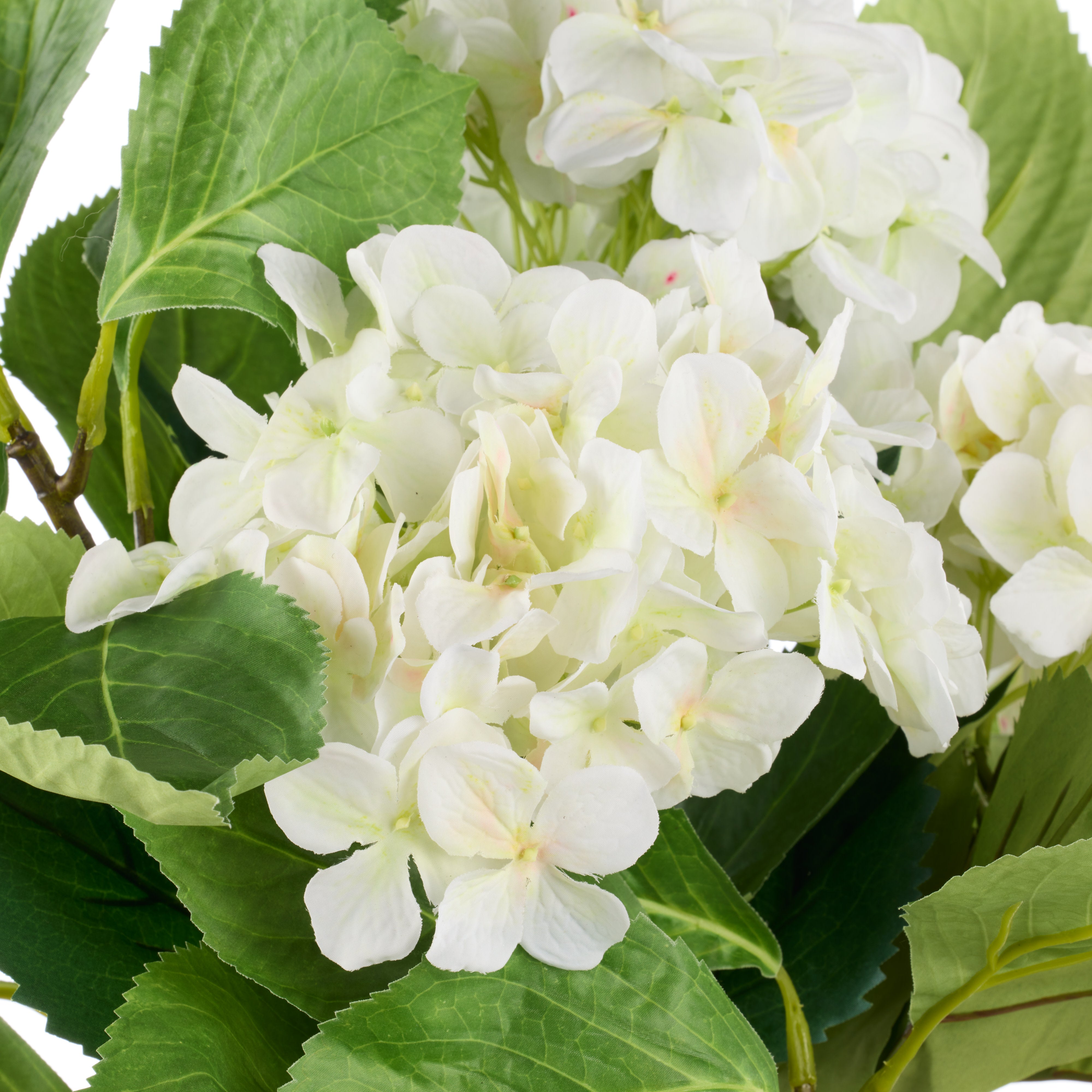 Rogue Hydrangea Vivid Leaf Bouquet White