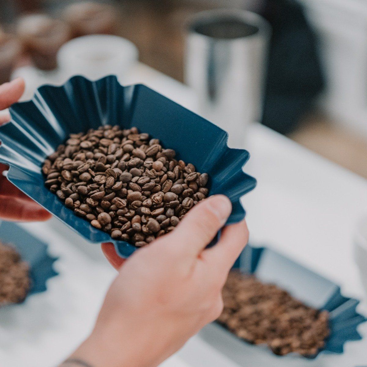 Rhino Bean Tray - Blue