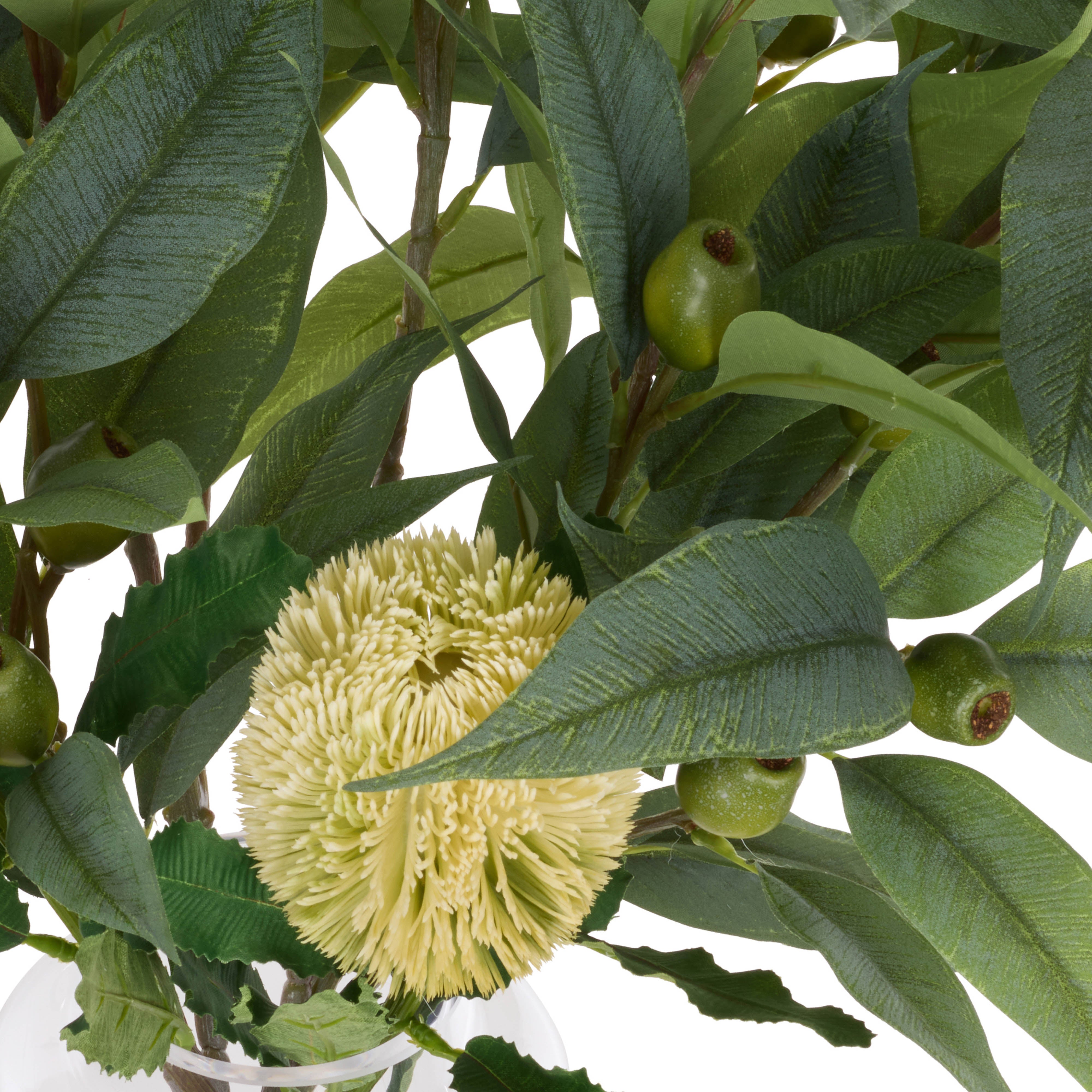 Rogue Native Banksia Gumnut Mix - Pauline Vase