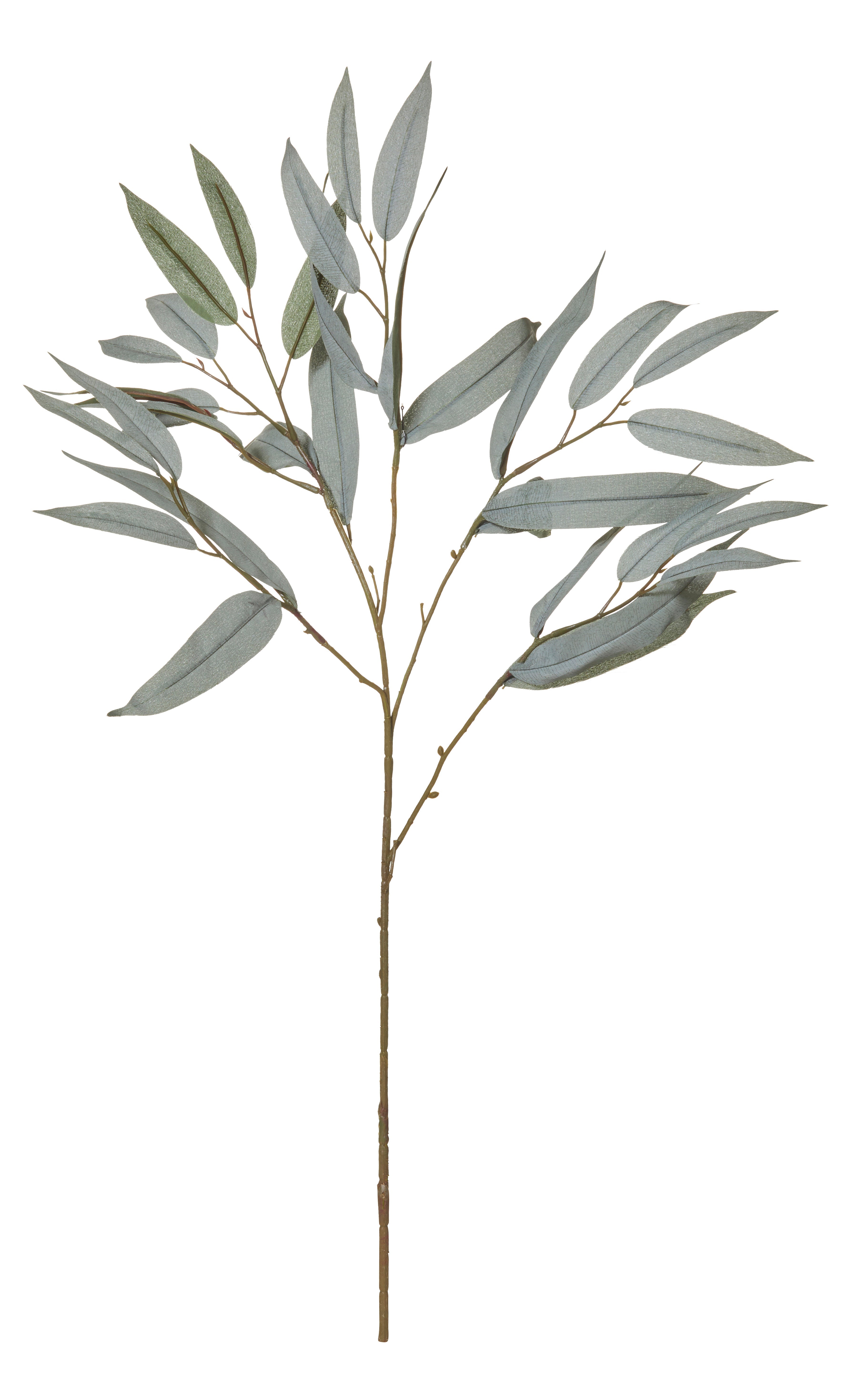 Rogue Eucalyptus Spray Grey Green