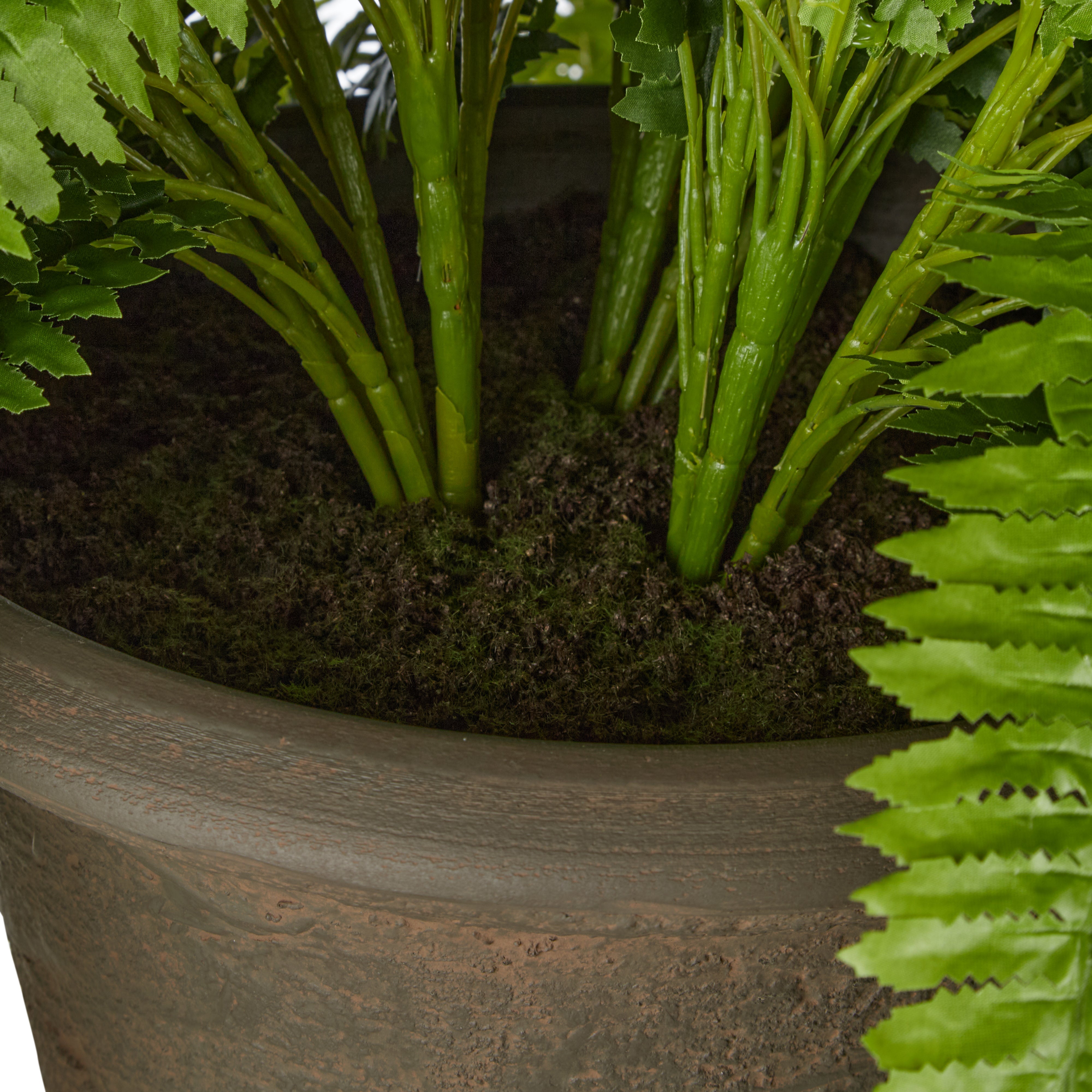 Rogue Boston Fern - Vintage Urn