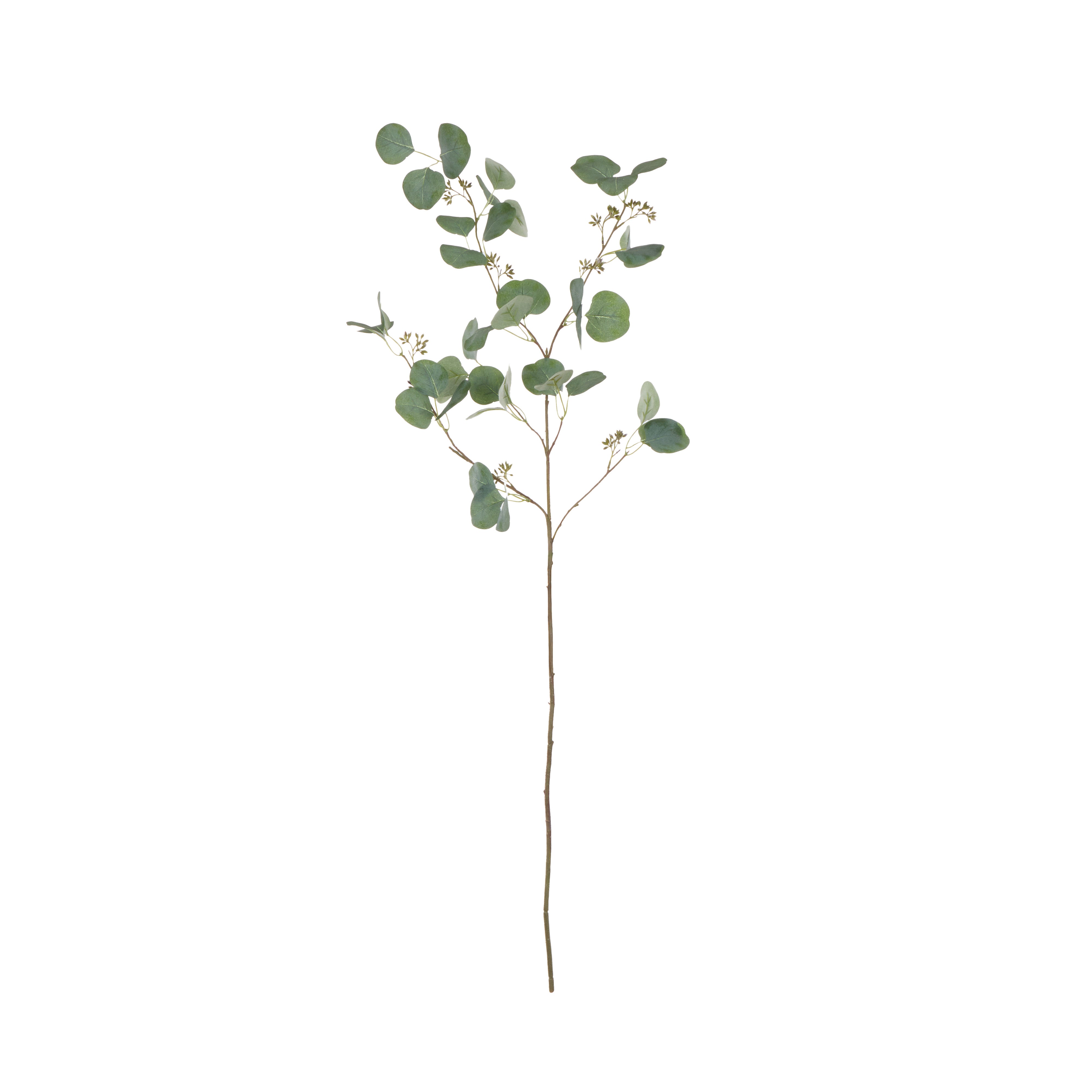 Rogue Eucalyptus Seeded Spray