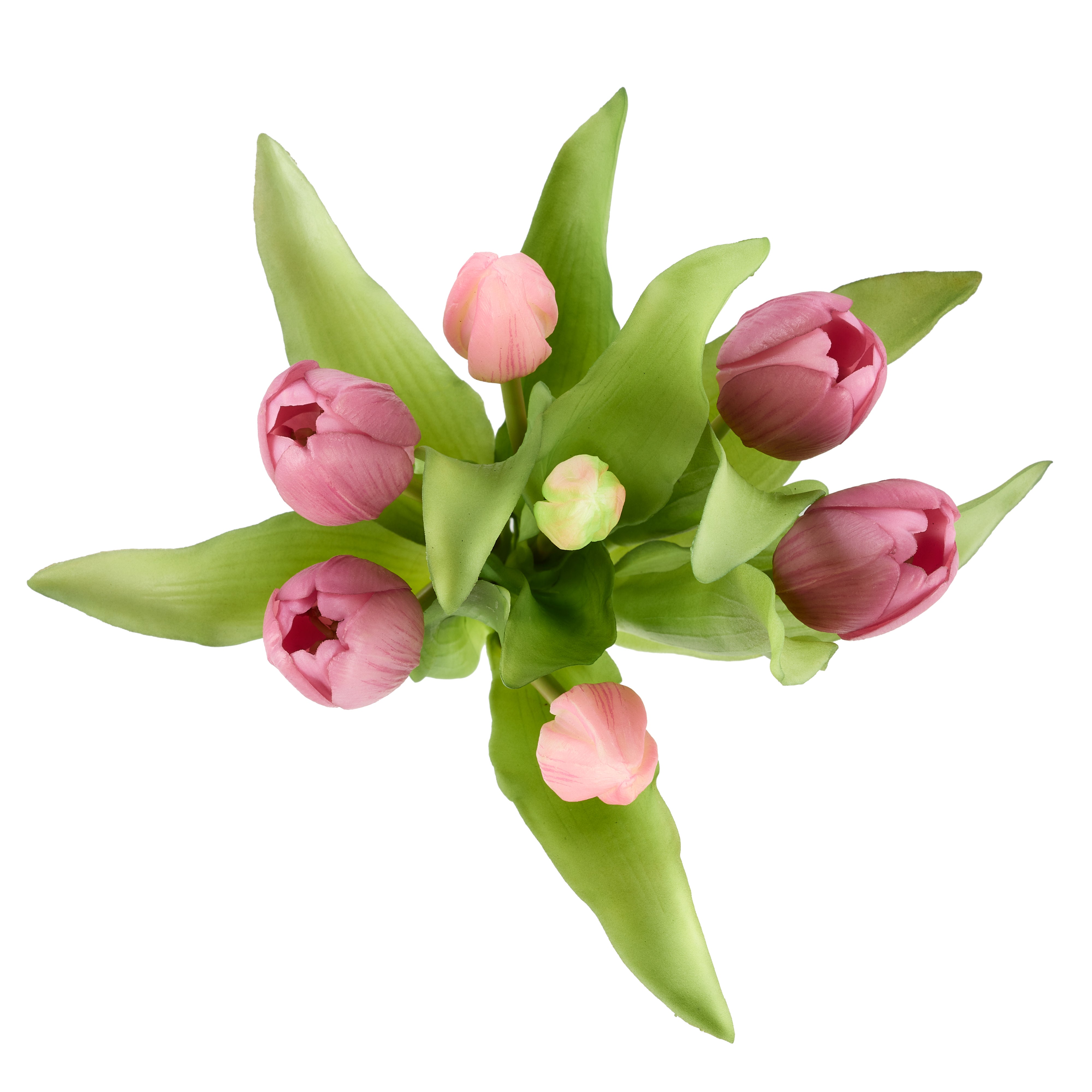 Rogue Tulip Bunch Pink 30cm