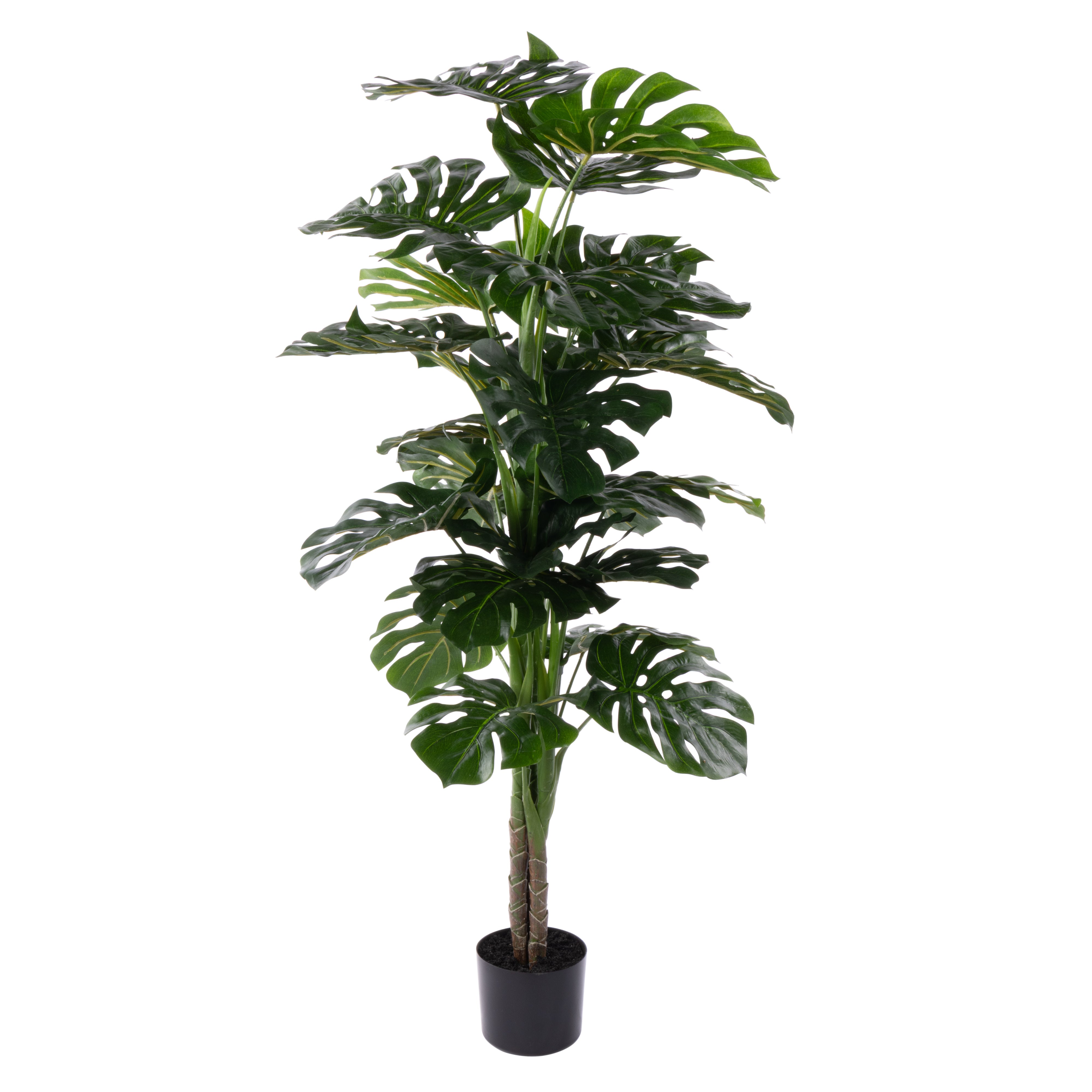 Rogue Monstera UV - Garden Pot 140cm
