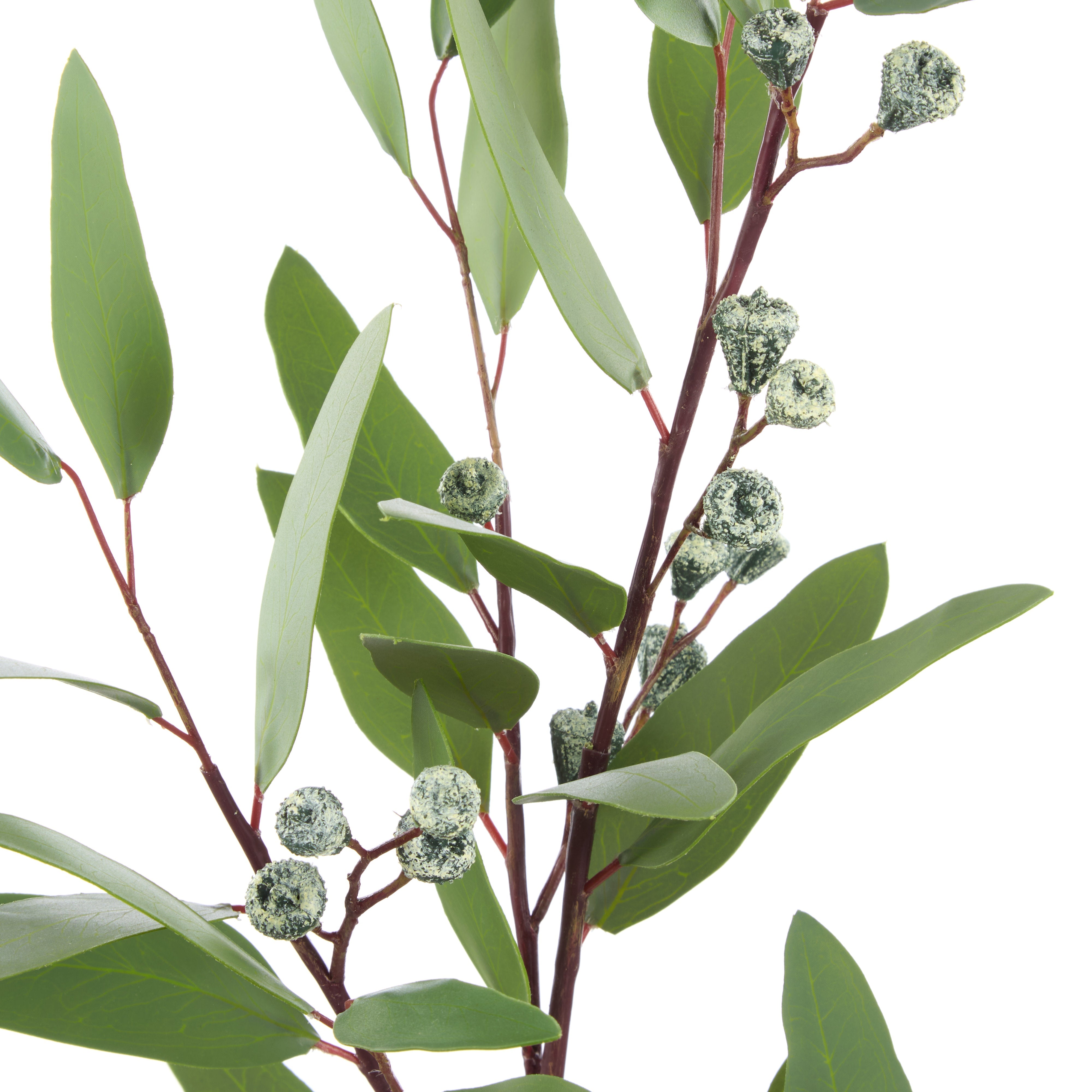 Rogue Eucalyptus Gumnut Spray Green 13cm