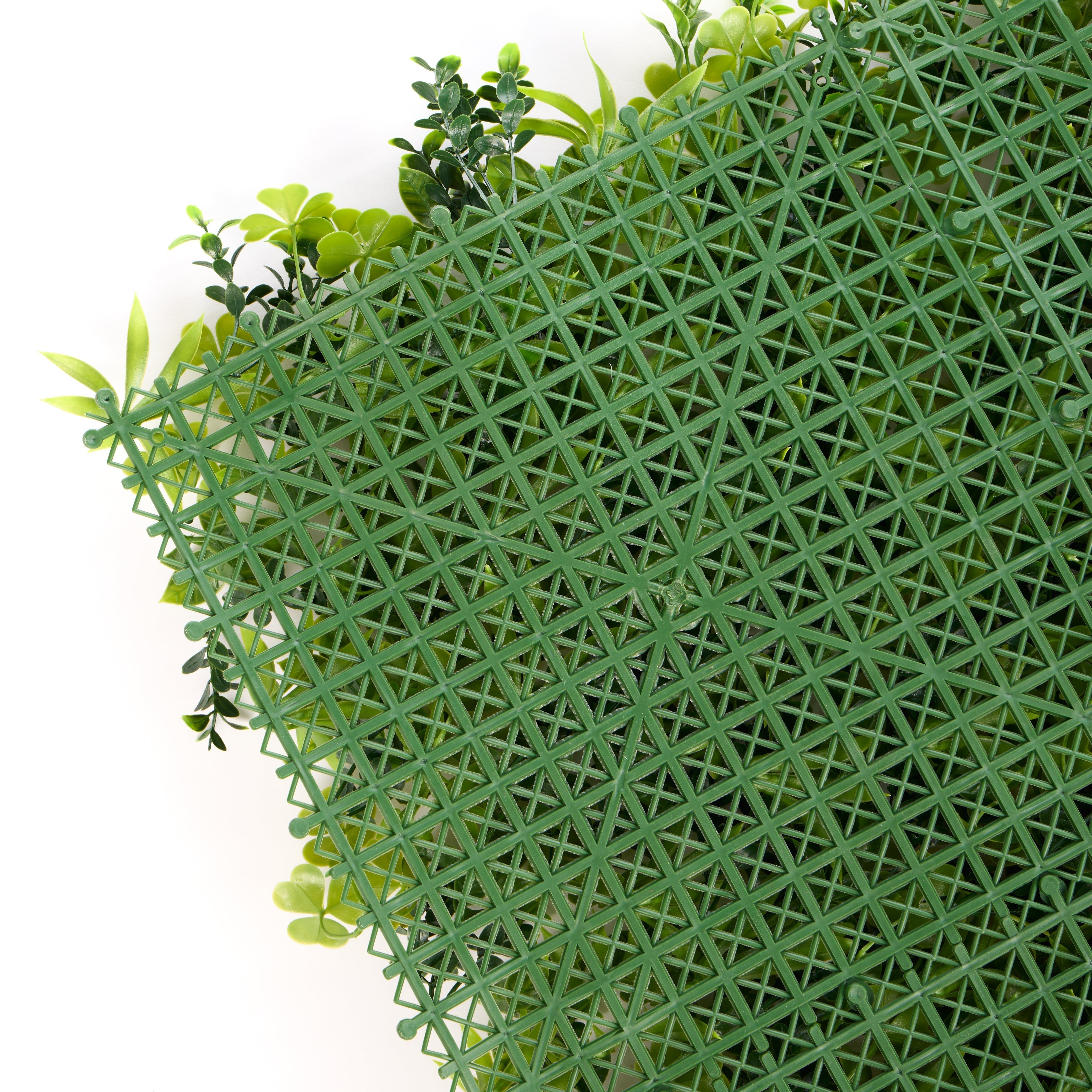 Rogue Lush Tile UV