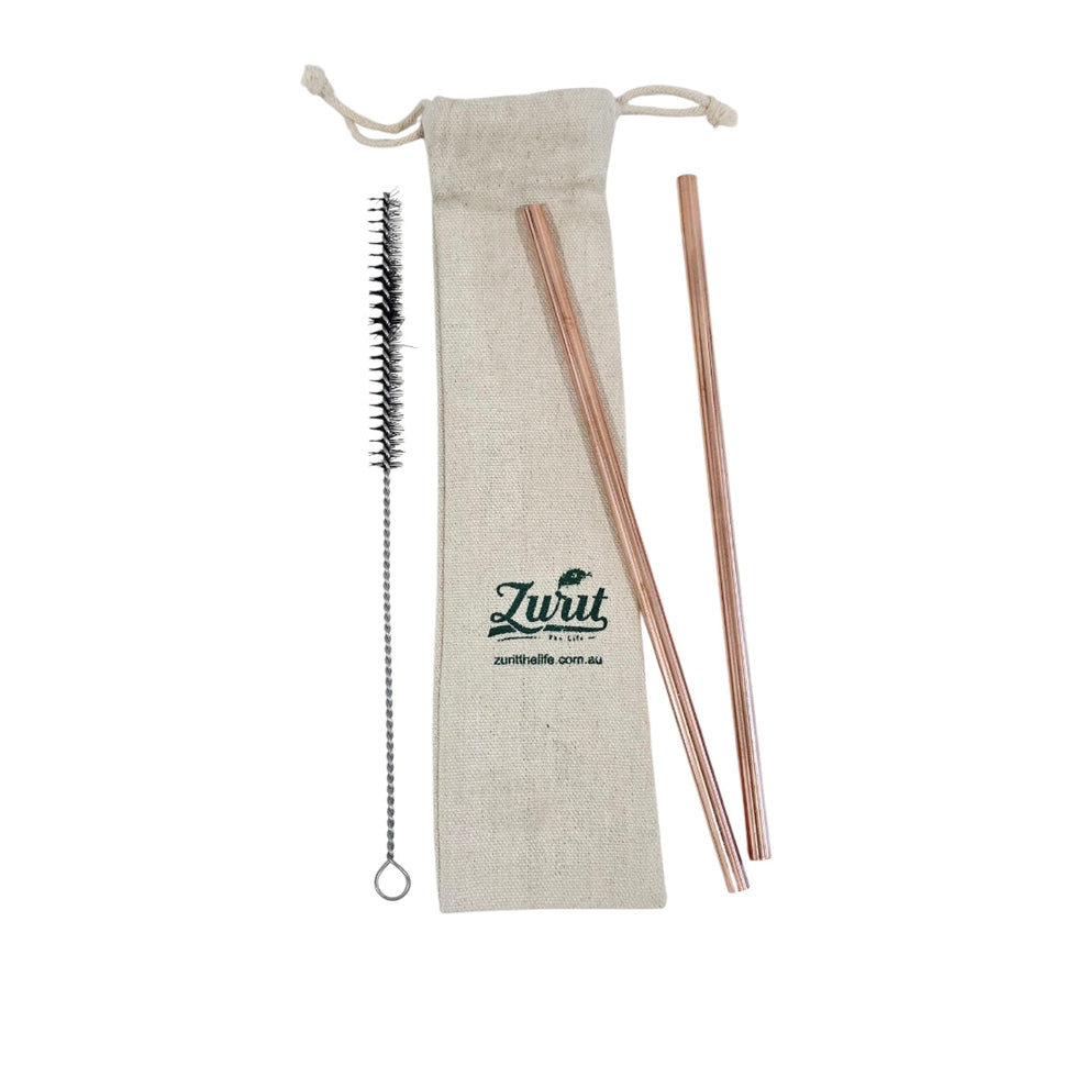 Zurit Premium Copper Straw Set Of 2 with Pouch and Brush