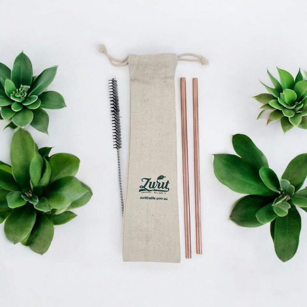 Zurit Premium Copper Straw Set Of 2 with Pouch and Brush