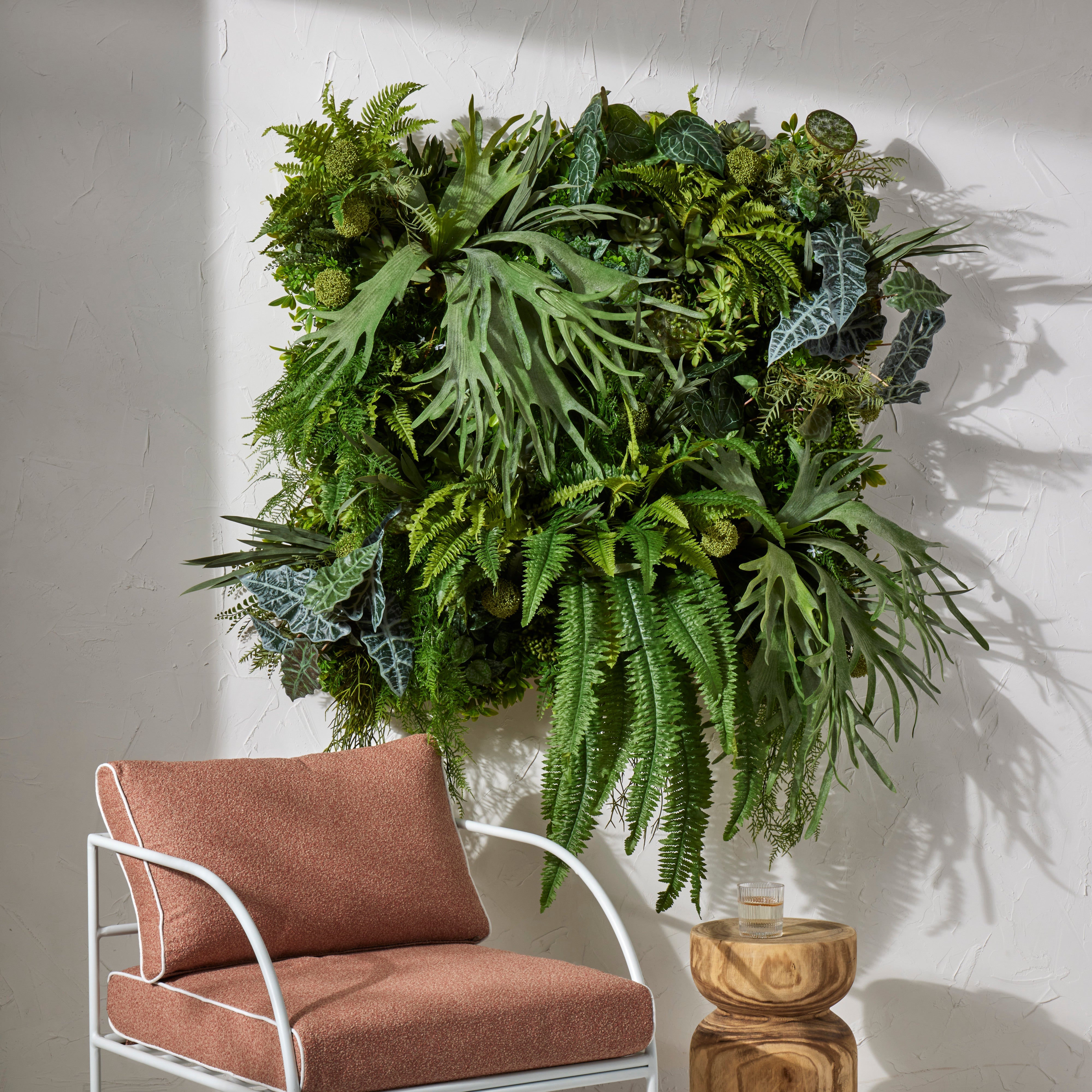 Rogue Maiden Hair Fern 45cm