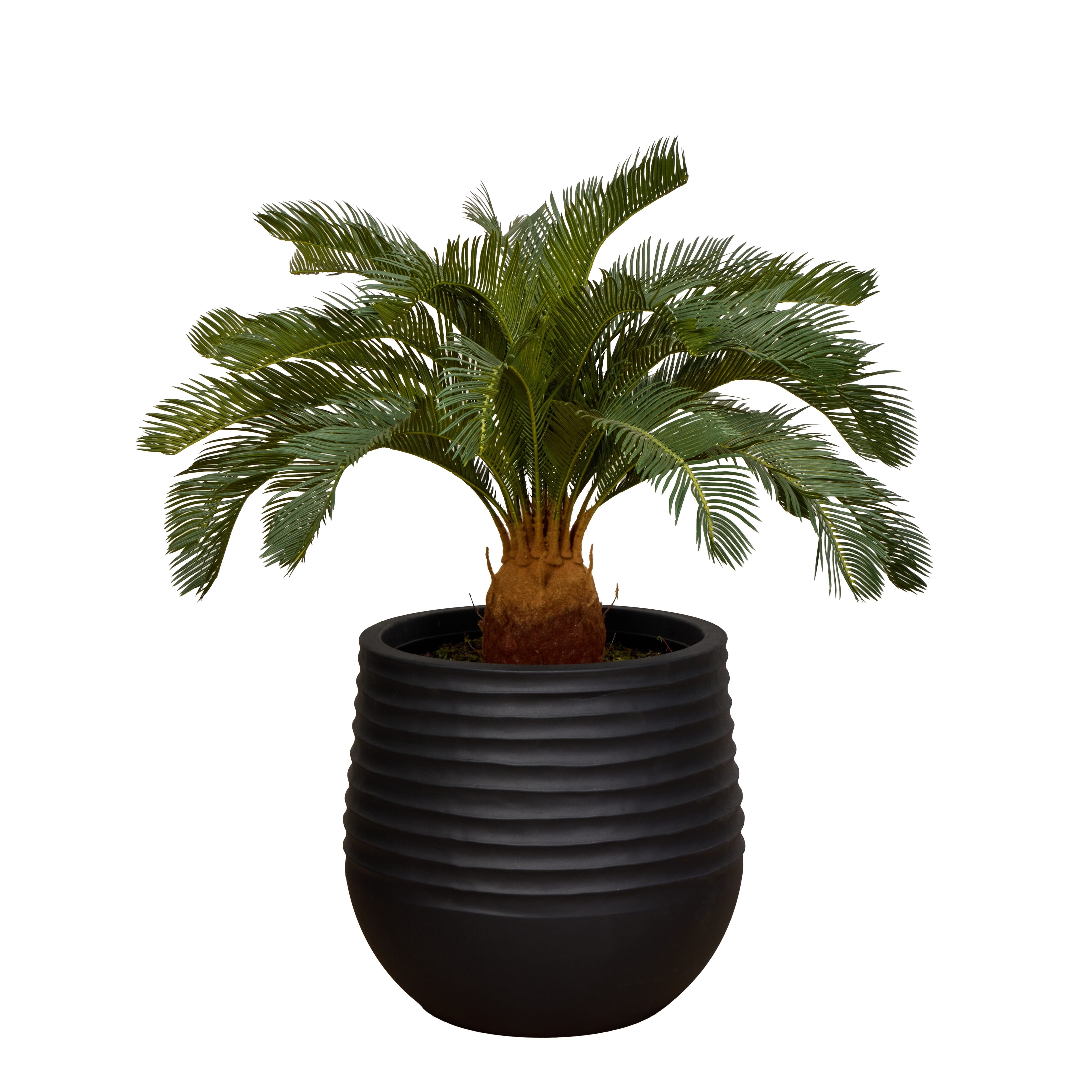 Rogue Cycas Plant - Ryker Planter Green & Brown 90 x 116cm